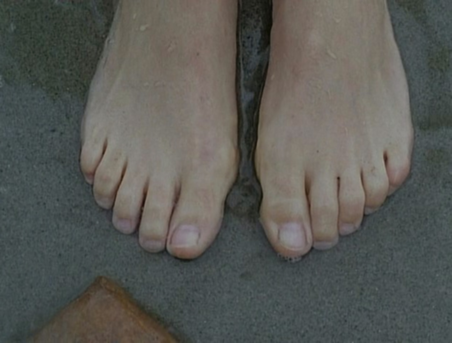 Julia Brendler S Feet I Piedi Di Julia Brendler Celebrities Feet 2024