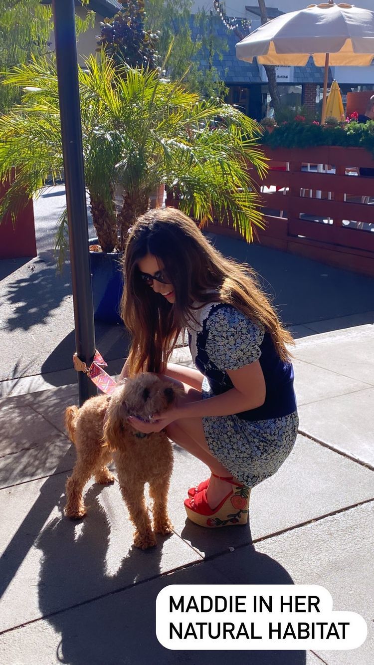 Madisyn Shipman S Feet I Piedi Di Madisyn Shipman Page 2