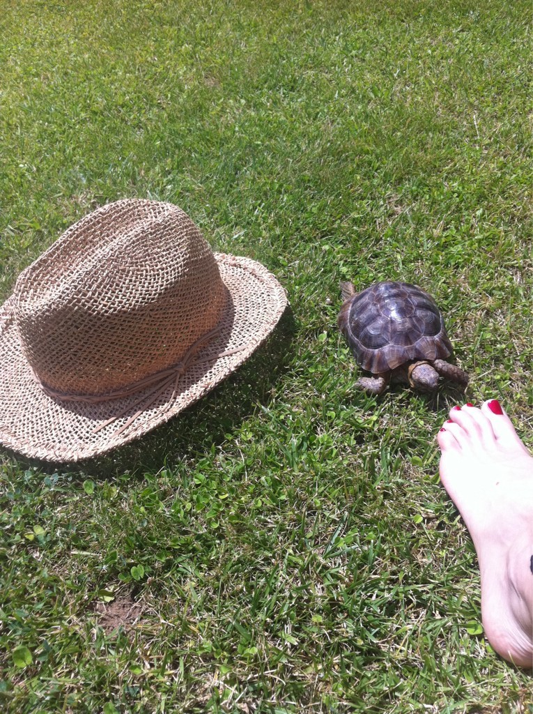 Adriana Abenia - Celebrity photo