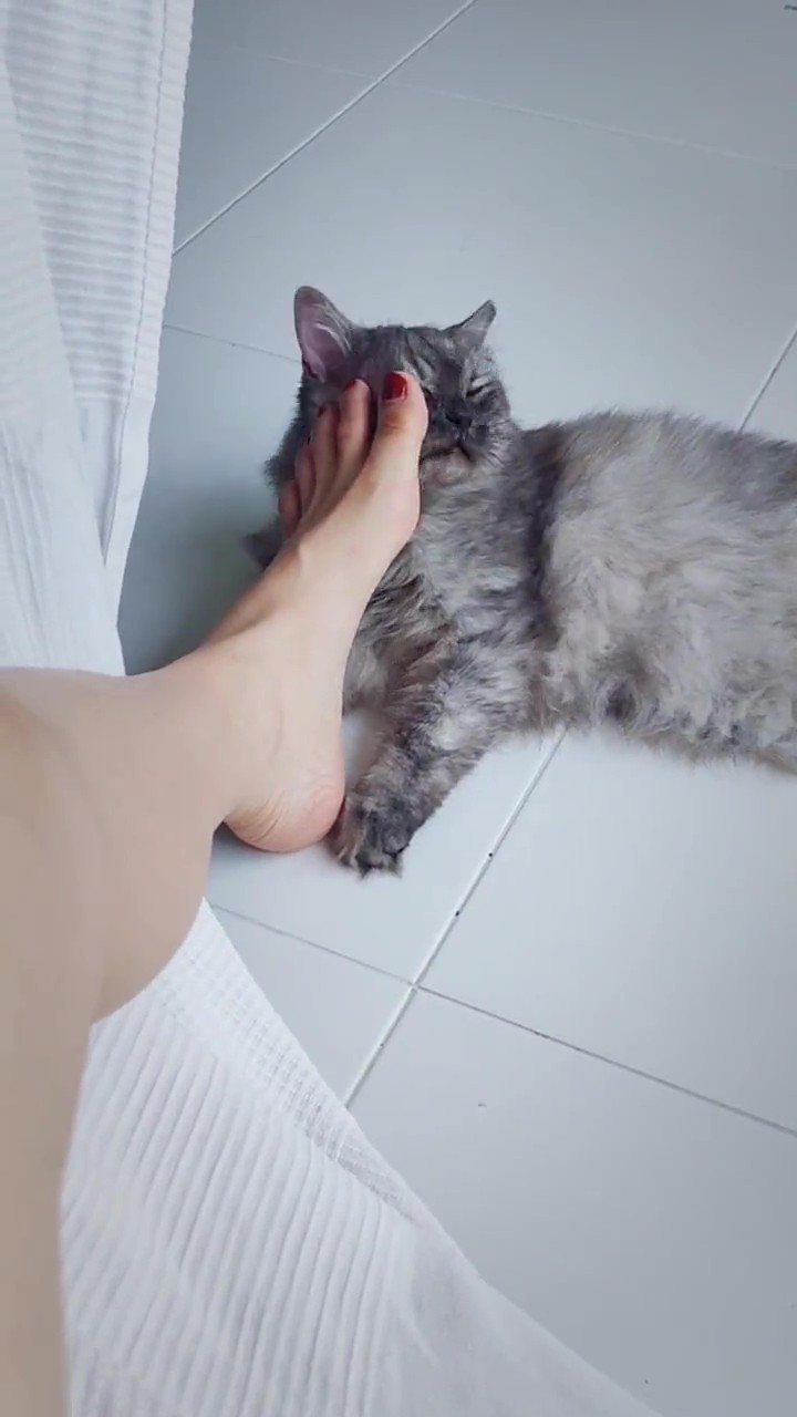 Feet of Aerie Rei