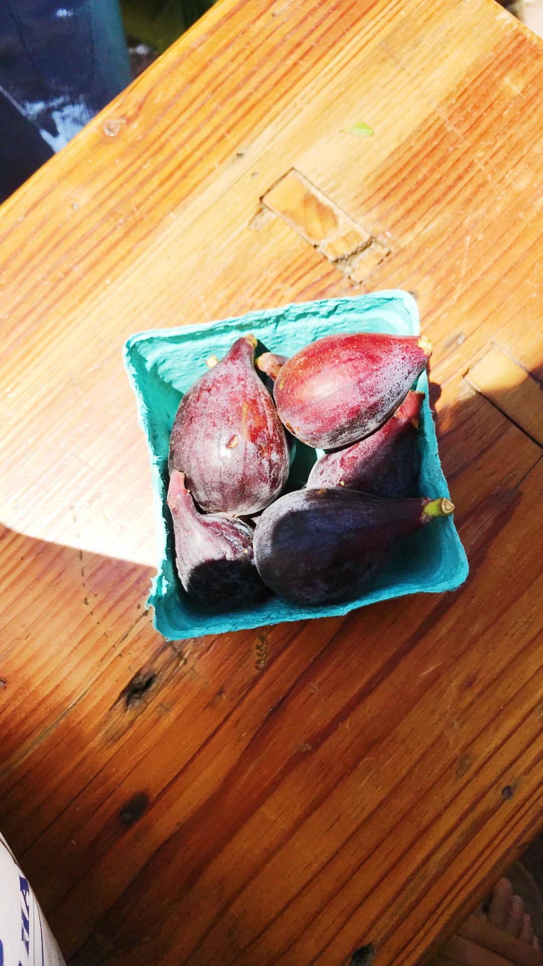 Ally Walsh - Celebrity photo