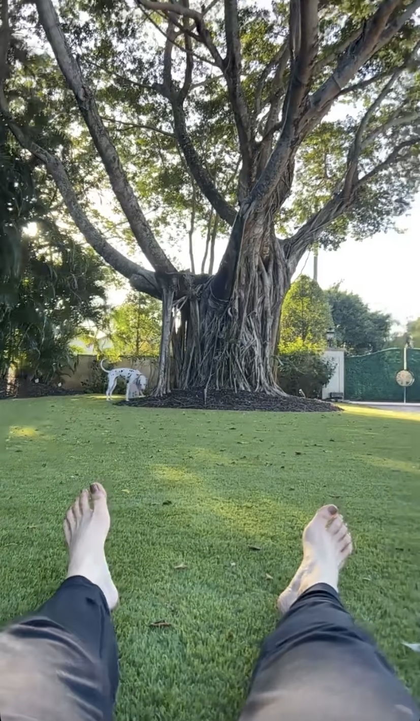 Amanda Cerny Wikifeet