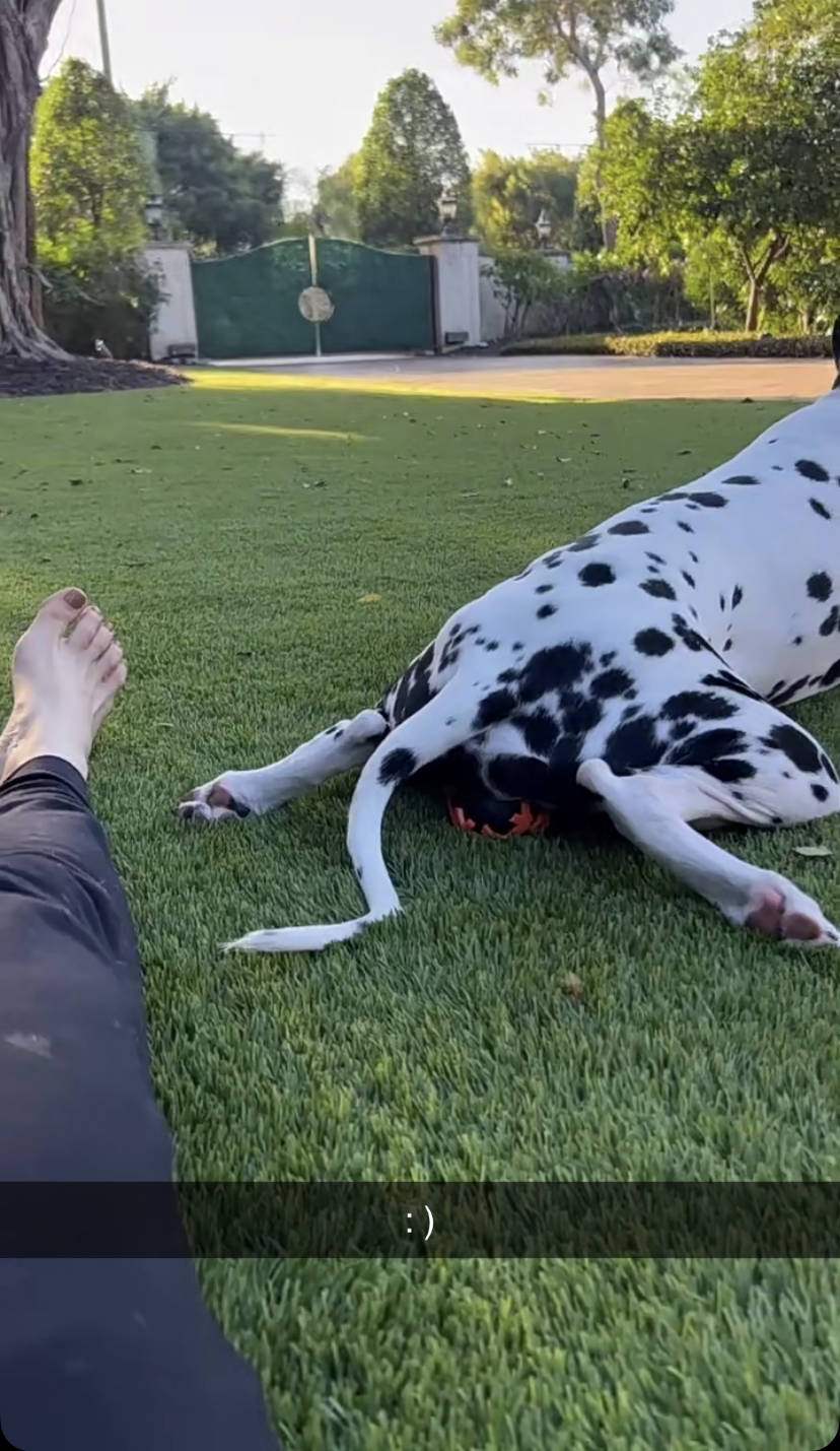 Amanda Cerny Wikifeet