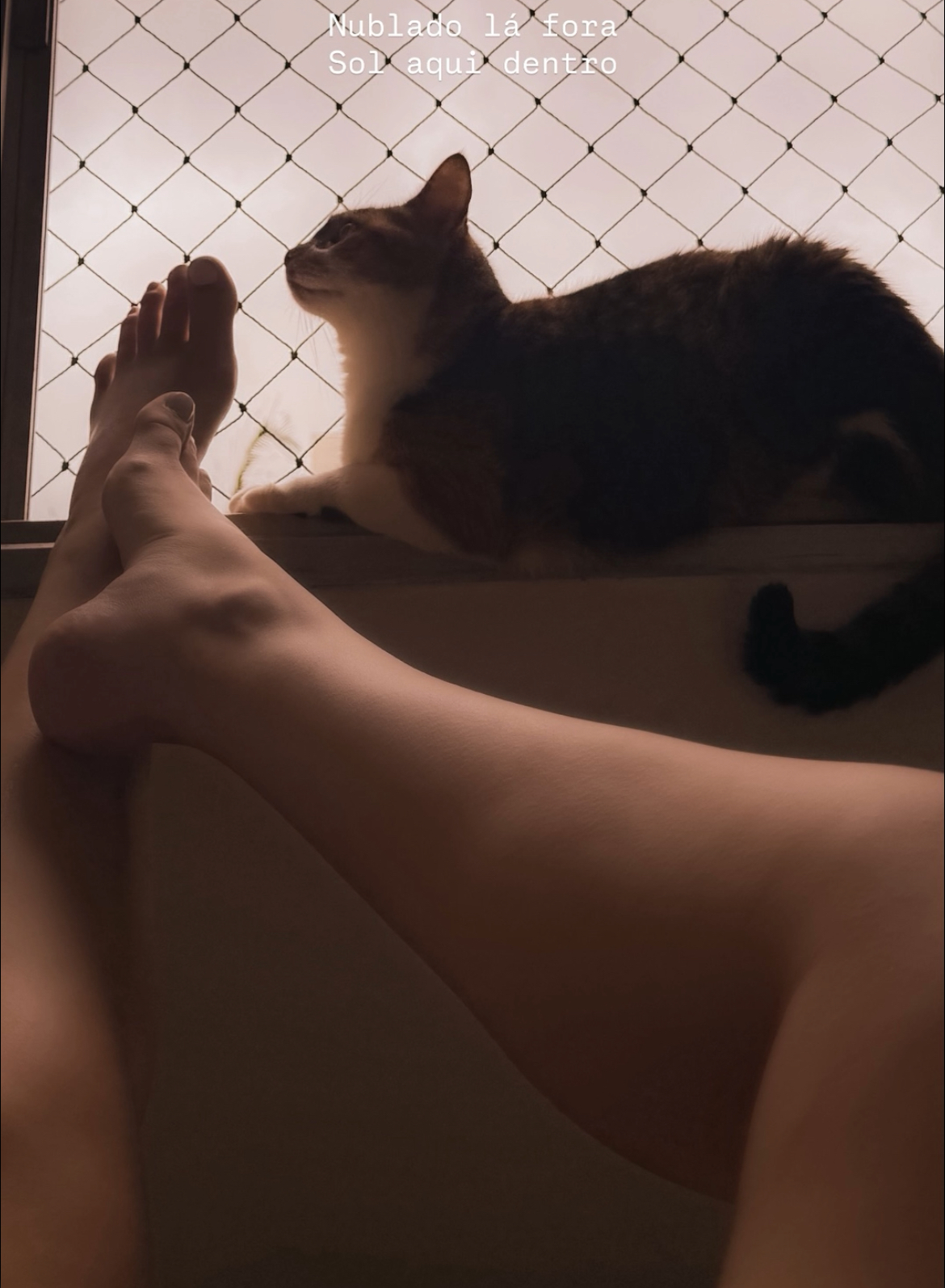Feet of Ana Prado