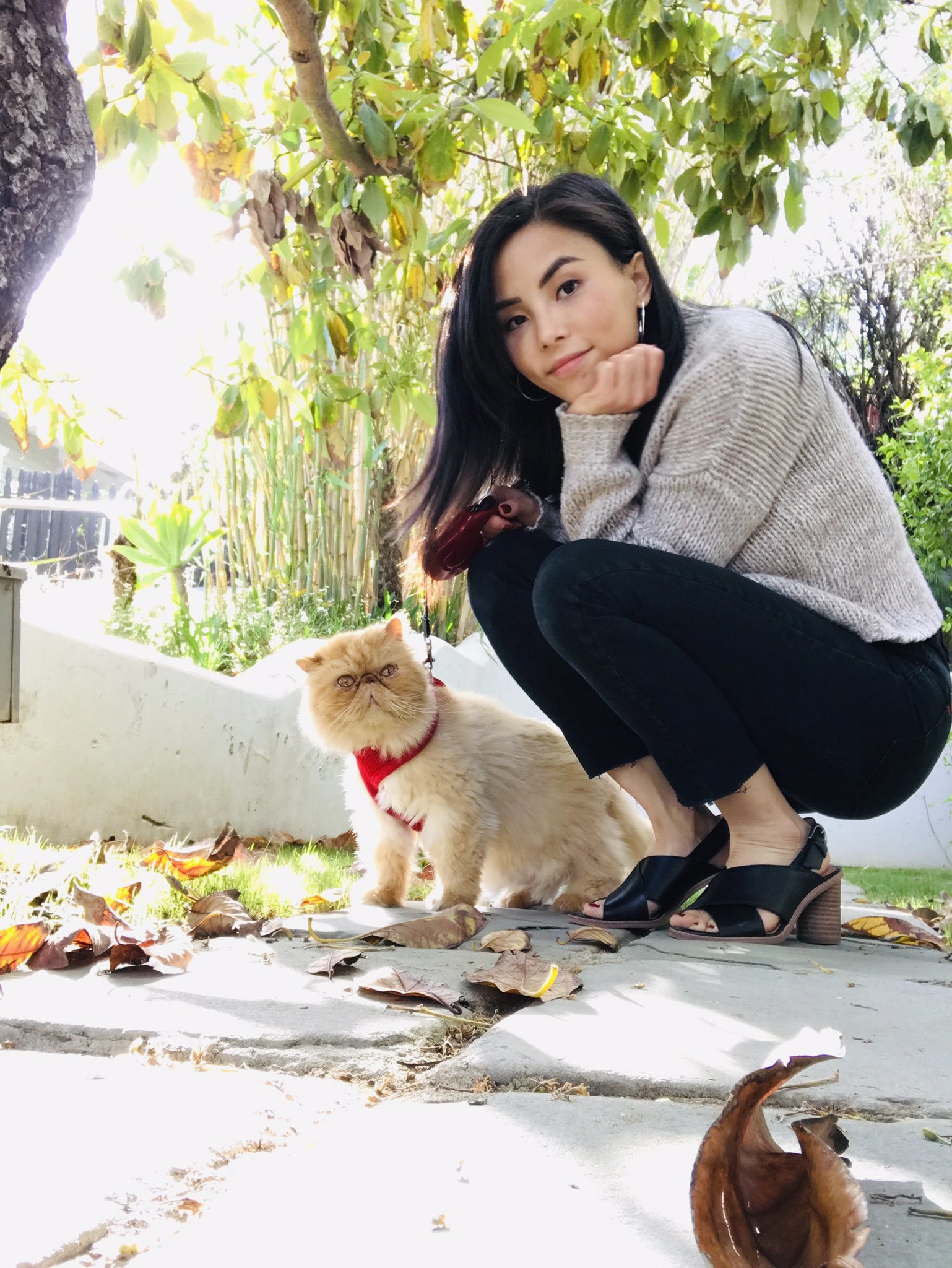 Anna Akana Pics