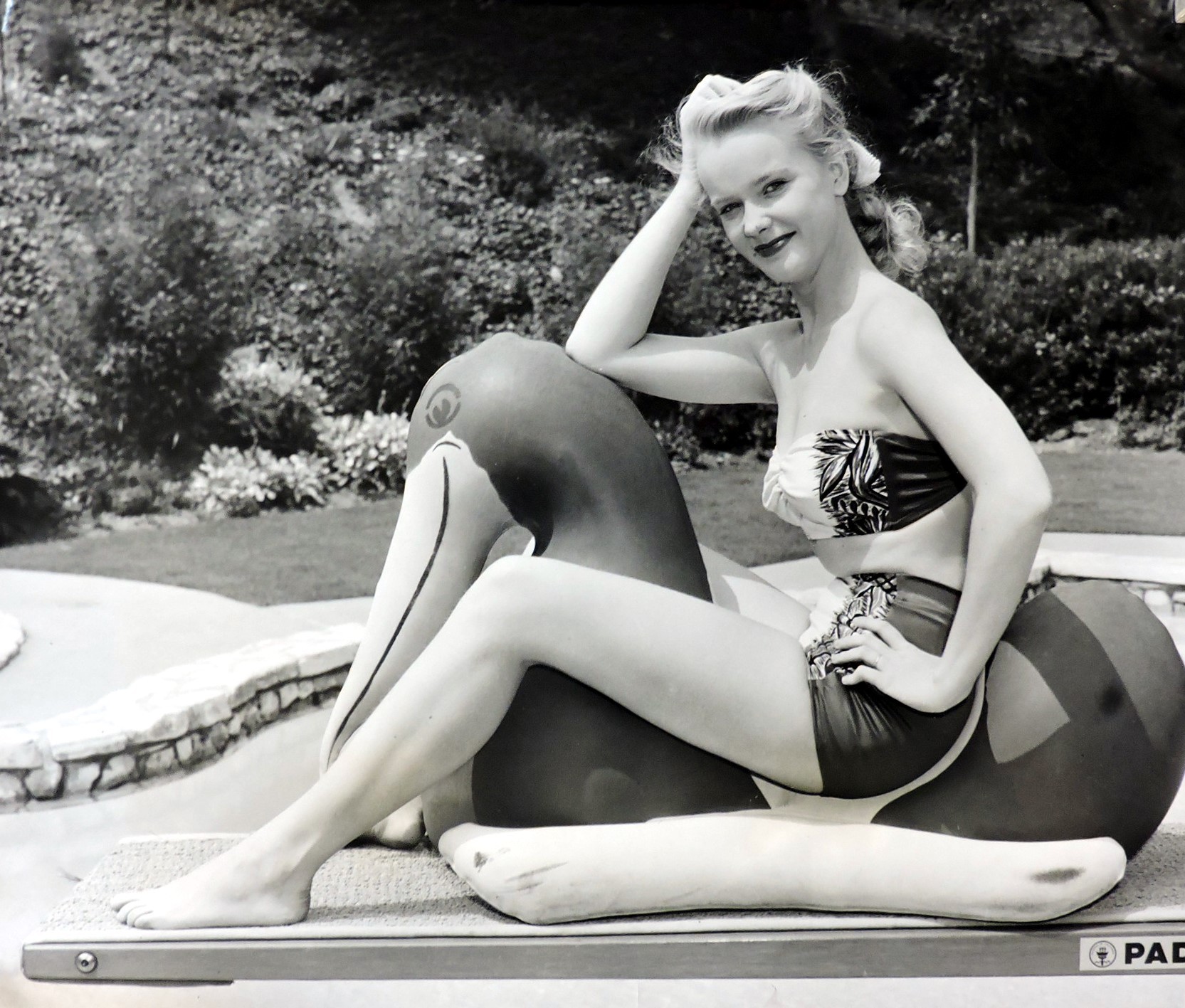 Nude anne francis