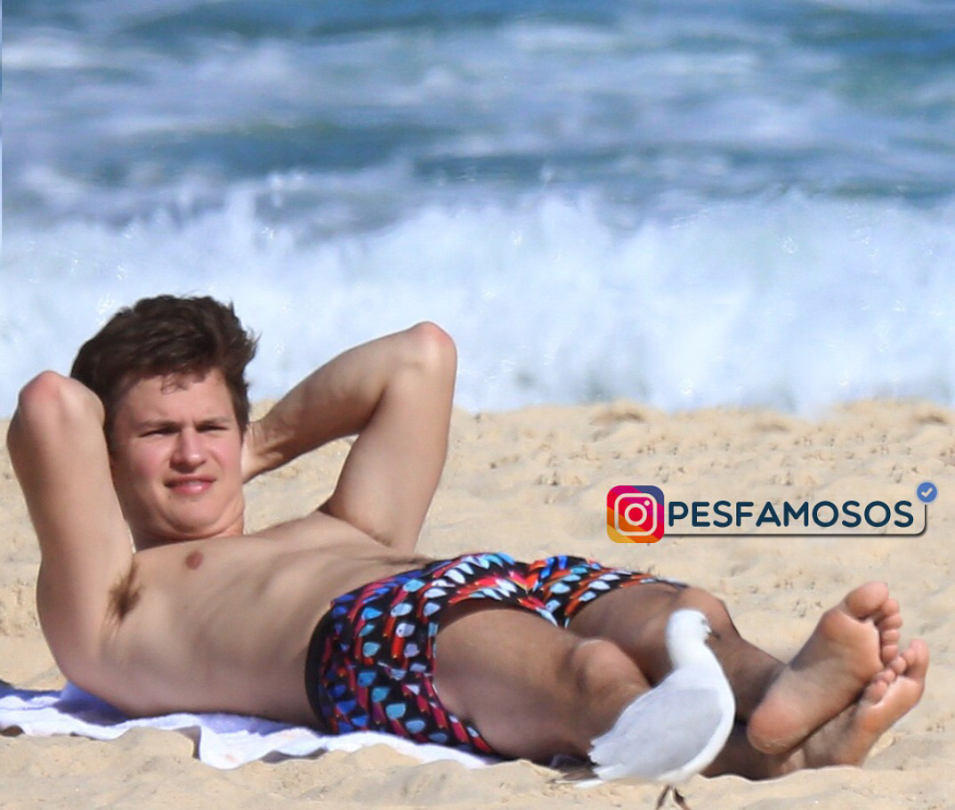 People who liked Ansel Elgort's feet, also liked.