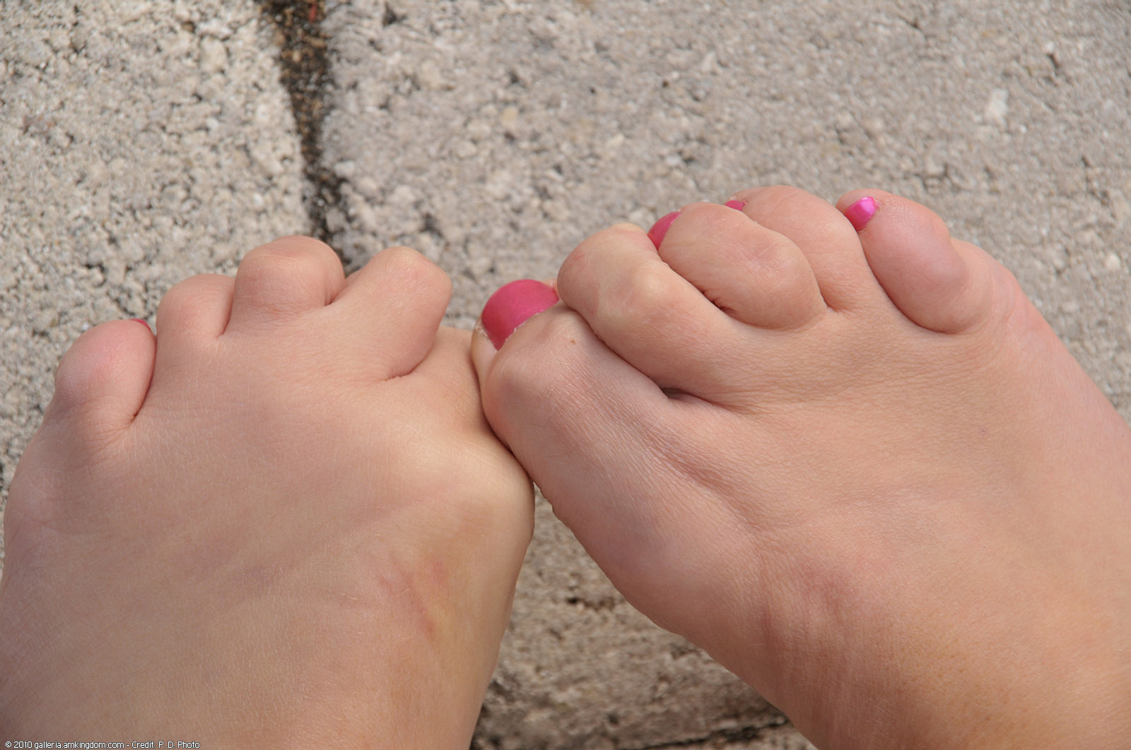 Ashley Coda's feet