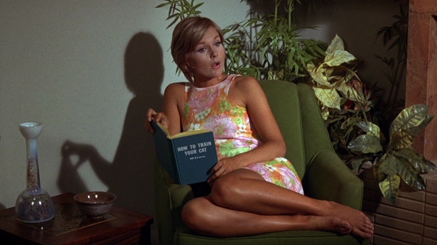 People who liked Carol Lynley's feet, also liked.