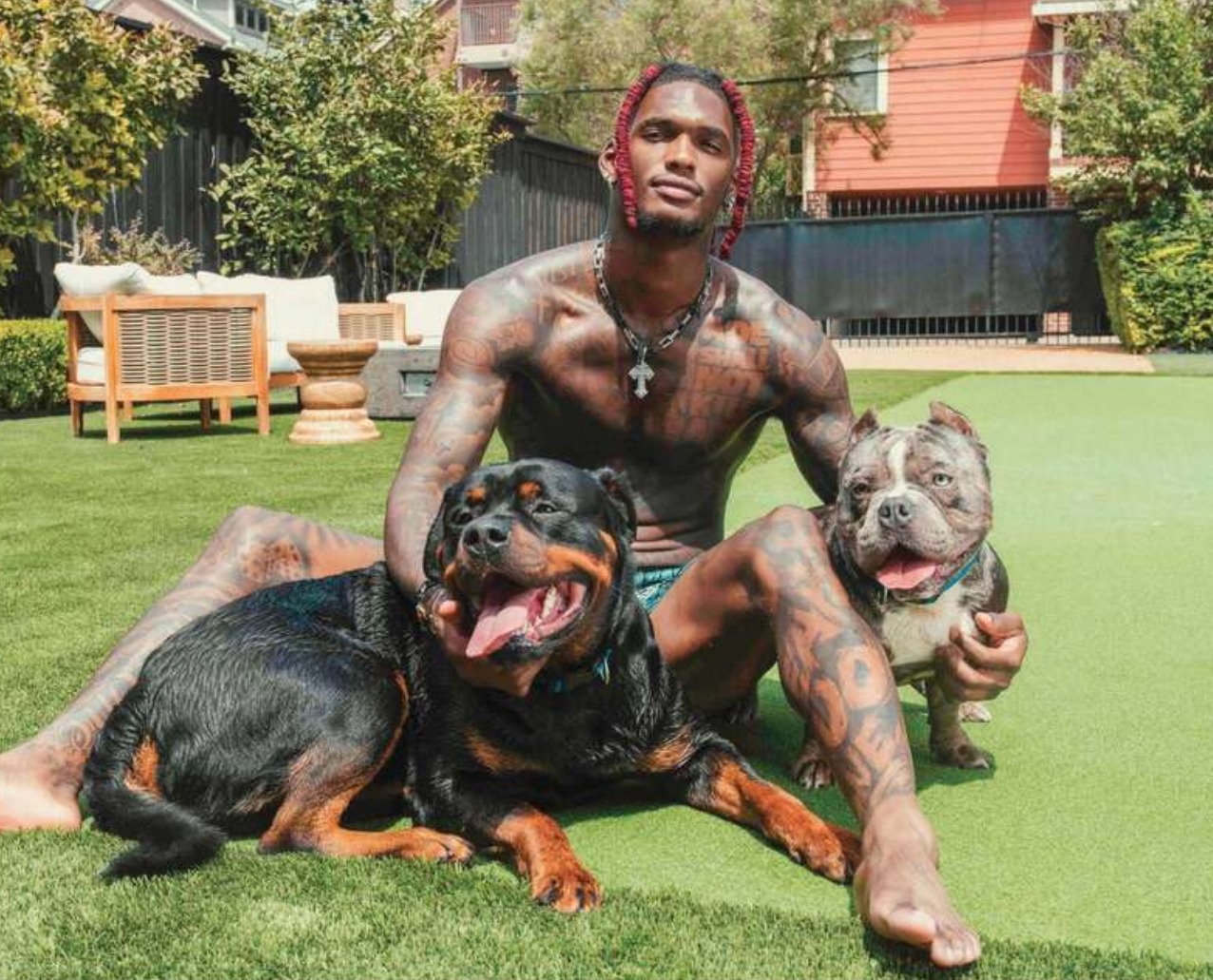 it will be a care center for abused, abandoned, or traumatized dogs. – Media News 48