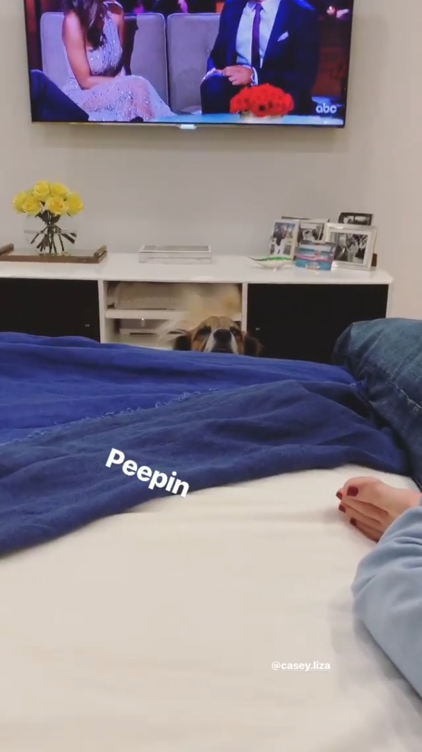 Chandler Taslitz feet photo 189974276 Chandler Taslitz feet photo 189974276 - High quality celebrity feet picture