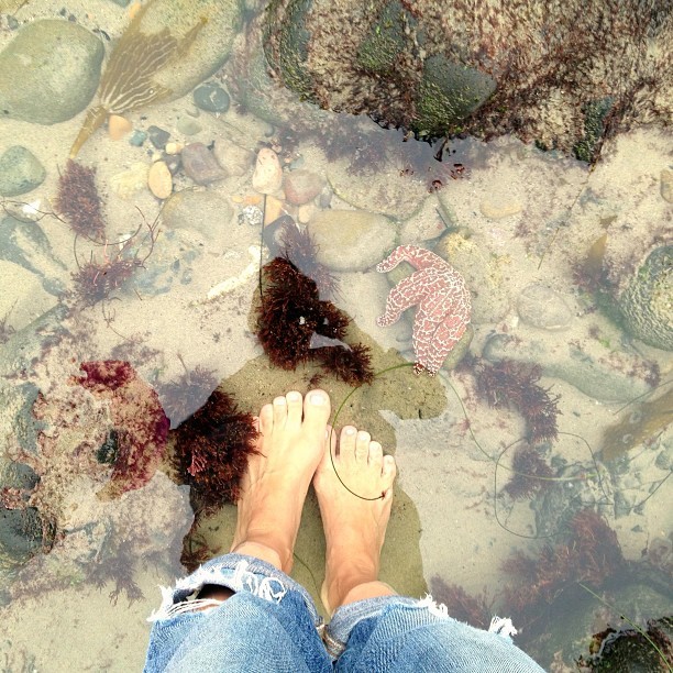 Constance Zimmer - Celebrity photo