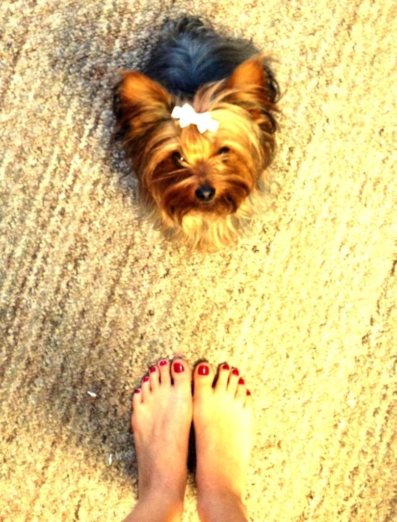 Feet of Cynthia Rodríguez