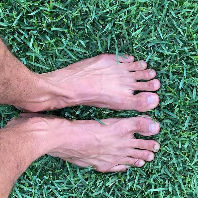 Dan Carter's Feet << wikiFeet Men