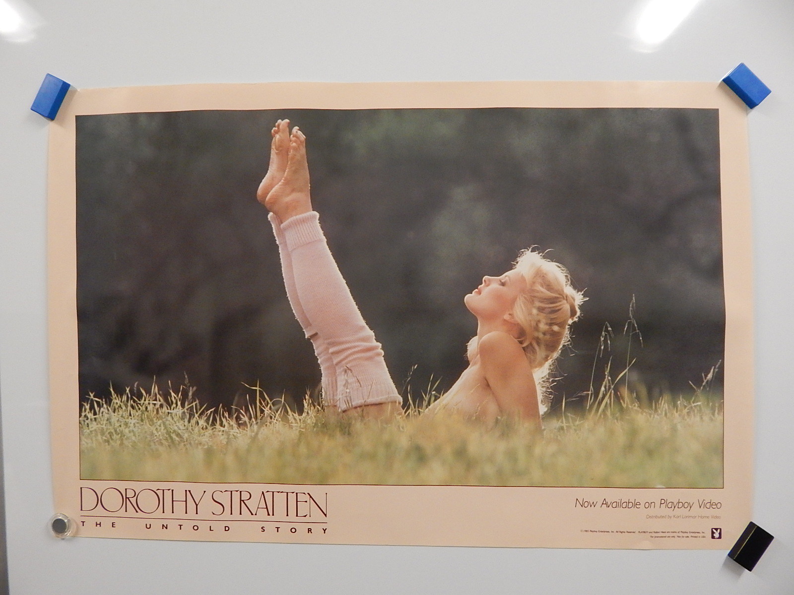 Dorothy Stratten's Feet I piedi di Dorothy Stratten Celebrities