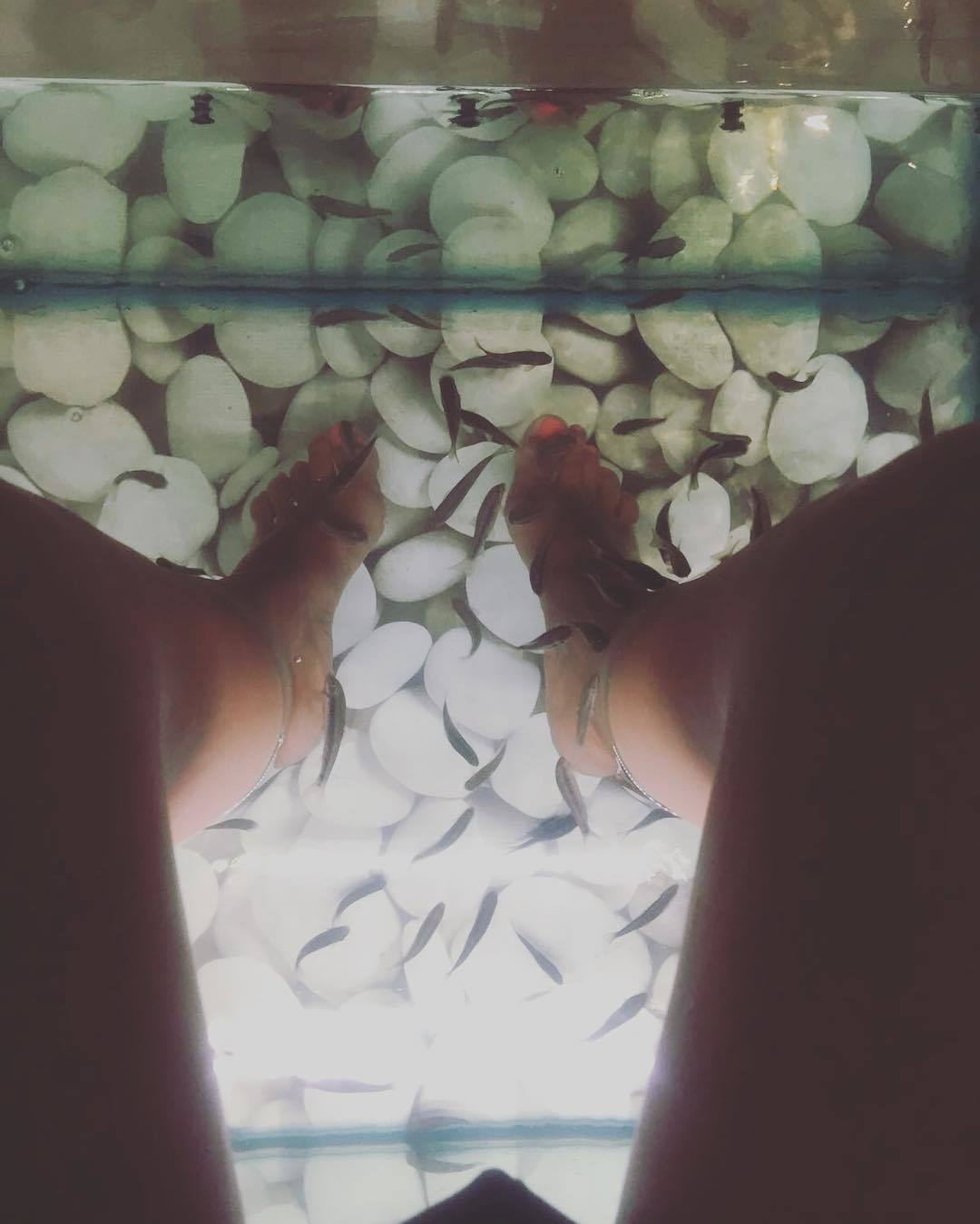 Elena Asimakopoulou feet photo 190404534 Elena Asimakopoulou feet photo 190404534 - High quality celebrity feet picture