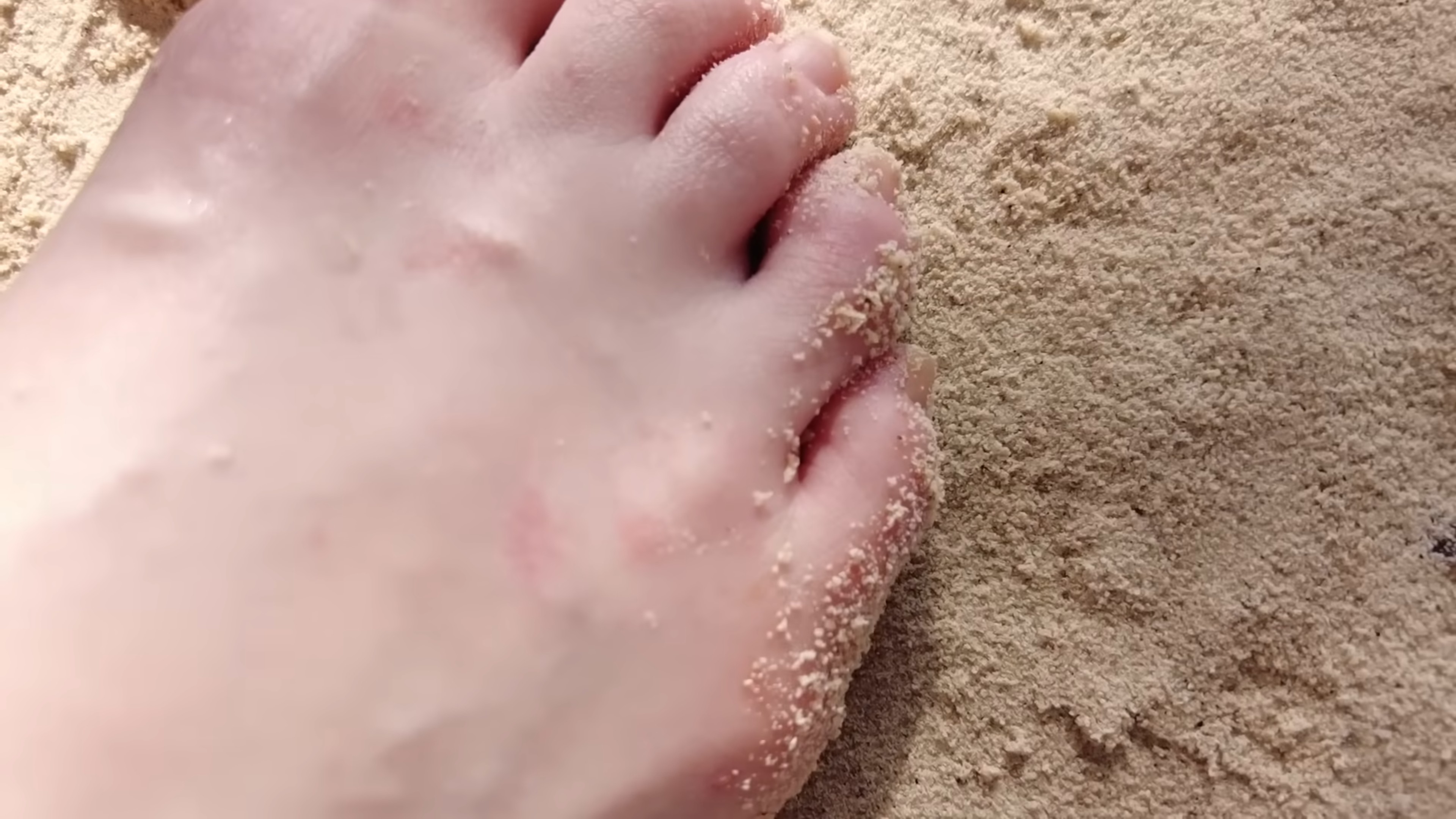 Ella Freya's Feet << wikiFeet