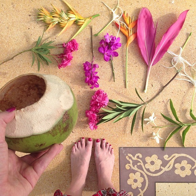 Erica Domesek - Celebrity photo