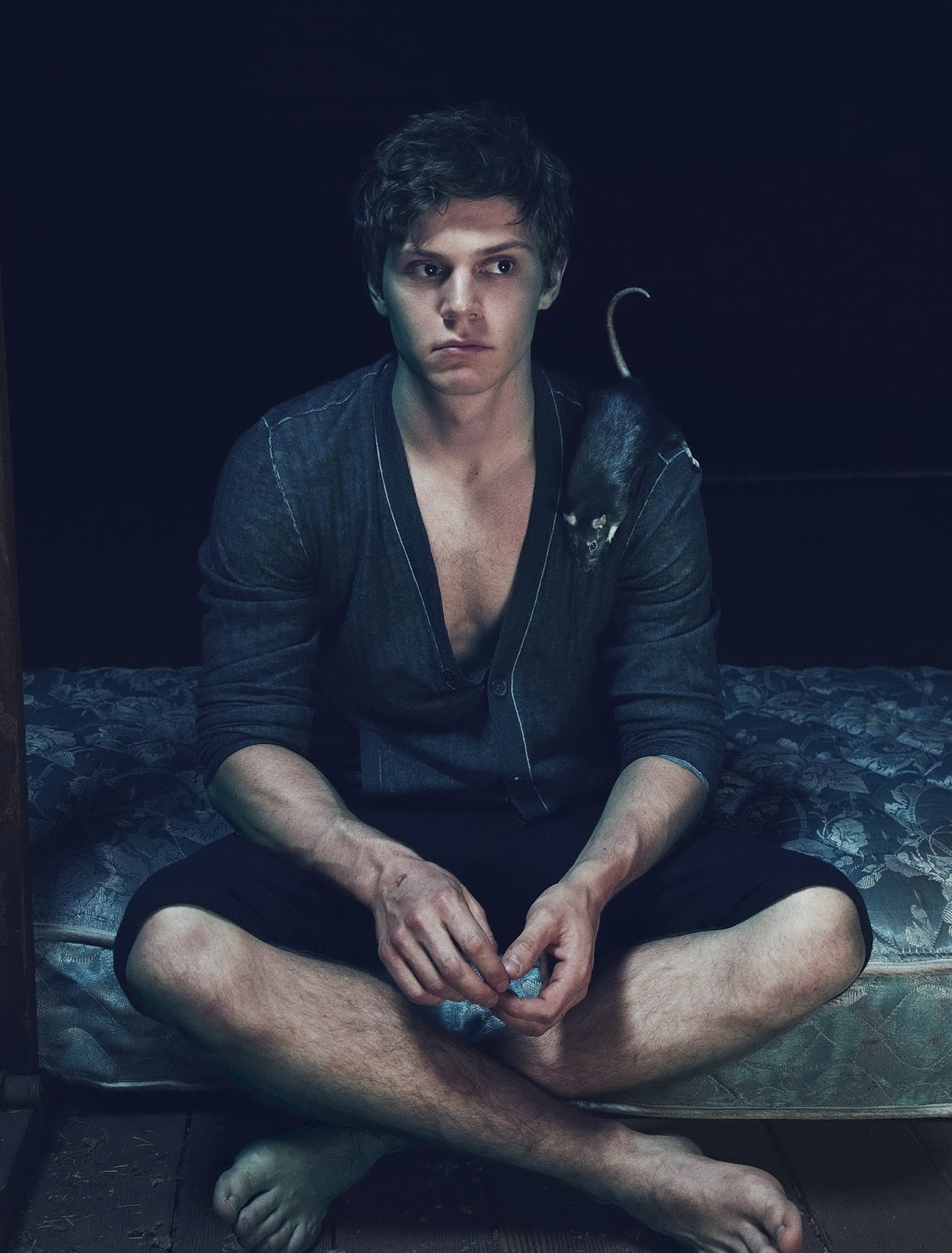 Evan Peters Page LPSG