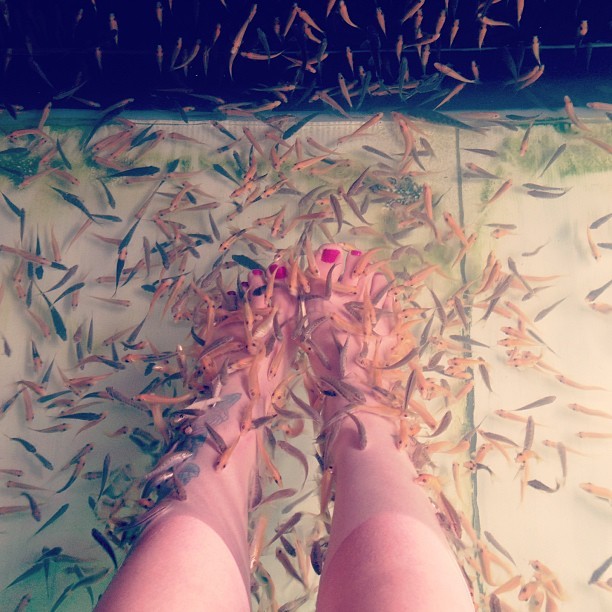 Gemma Kirbys Feet 