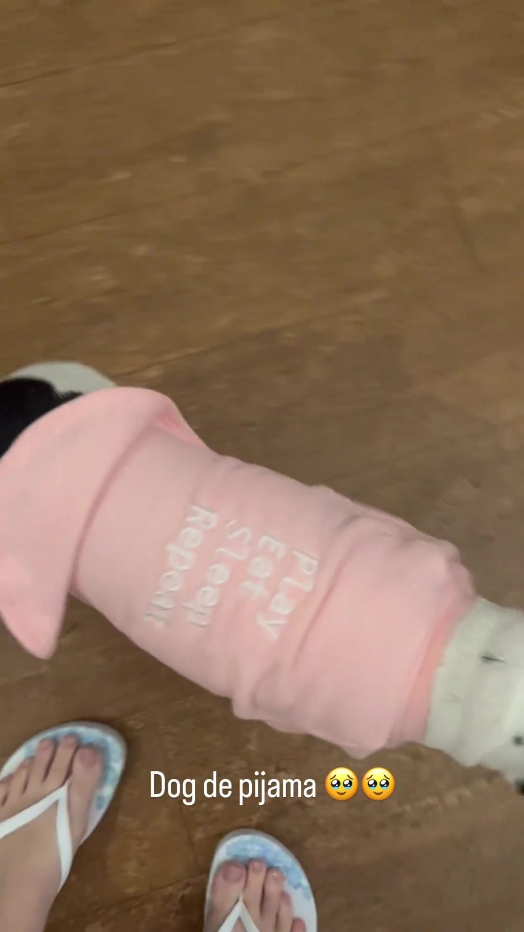 Giovanna Chaves feet photo 336817230 Giovanna Chaves feet photo 336817230 - High quality celebrity feet picture