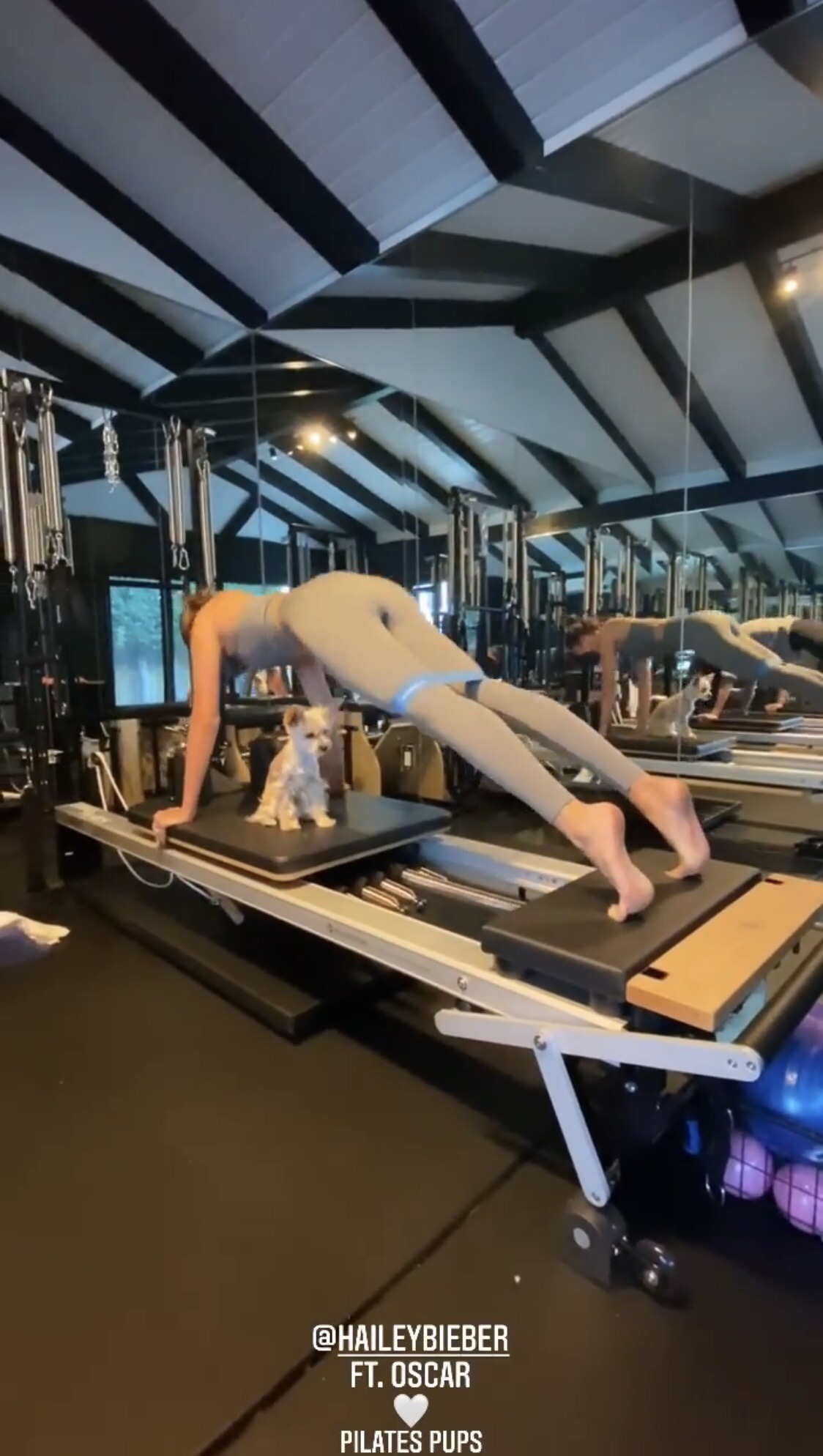 Hailey Bieber feet photo 190828477 Hailey Bieber feet photo 190828477 - High quality celebrity feet picture