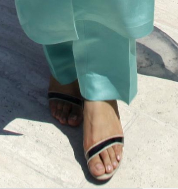 Hina Rabbani Khar's Feet << wikiFeet