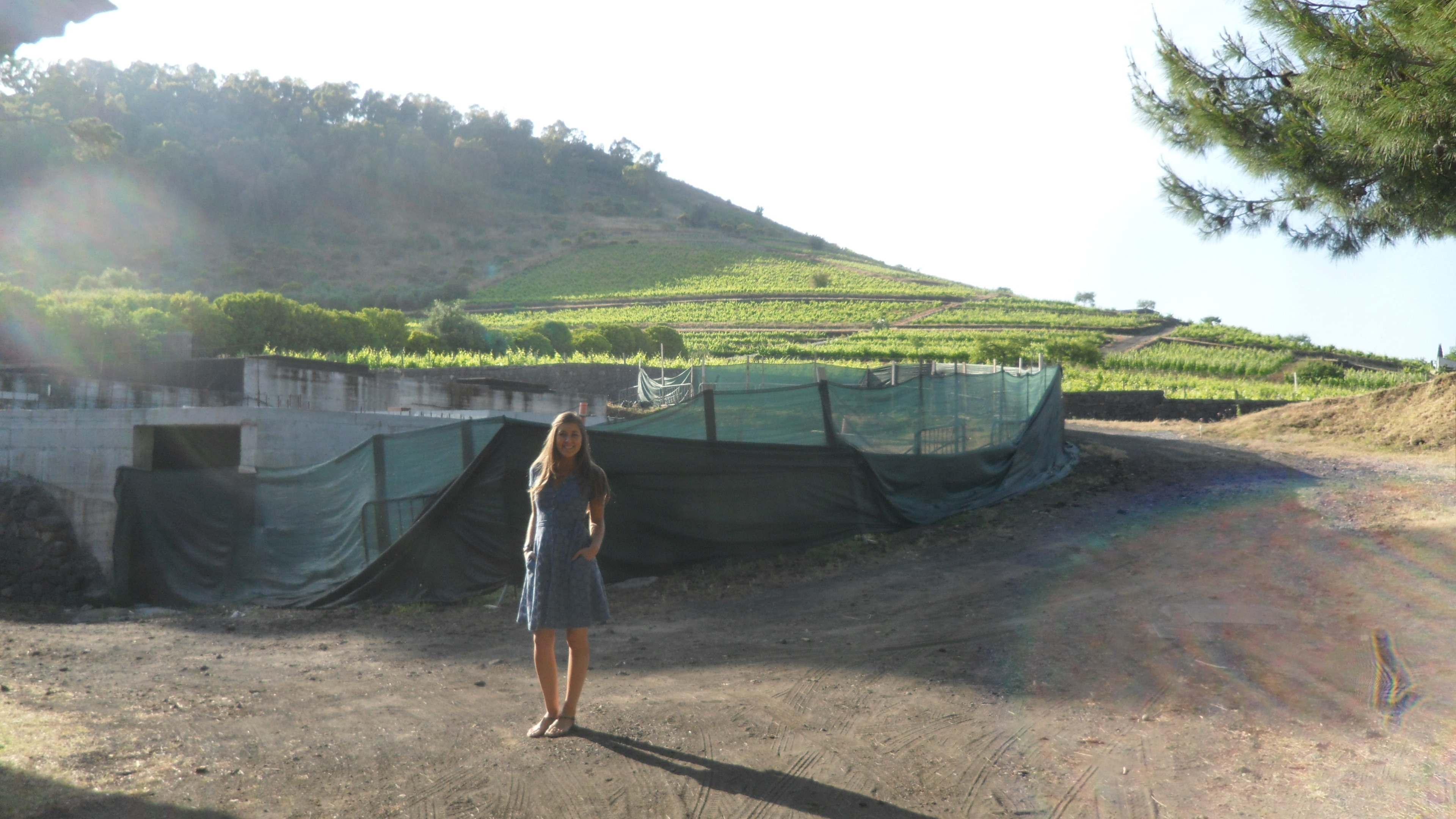 Judith Jones - Celebrity photo