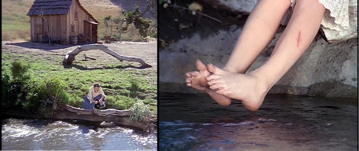 People who liked Karen Grassle's feet, also liked.