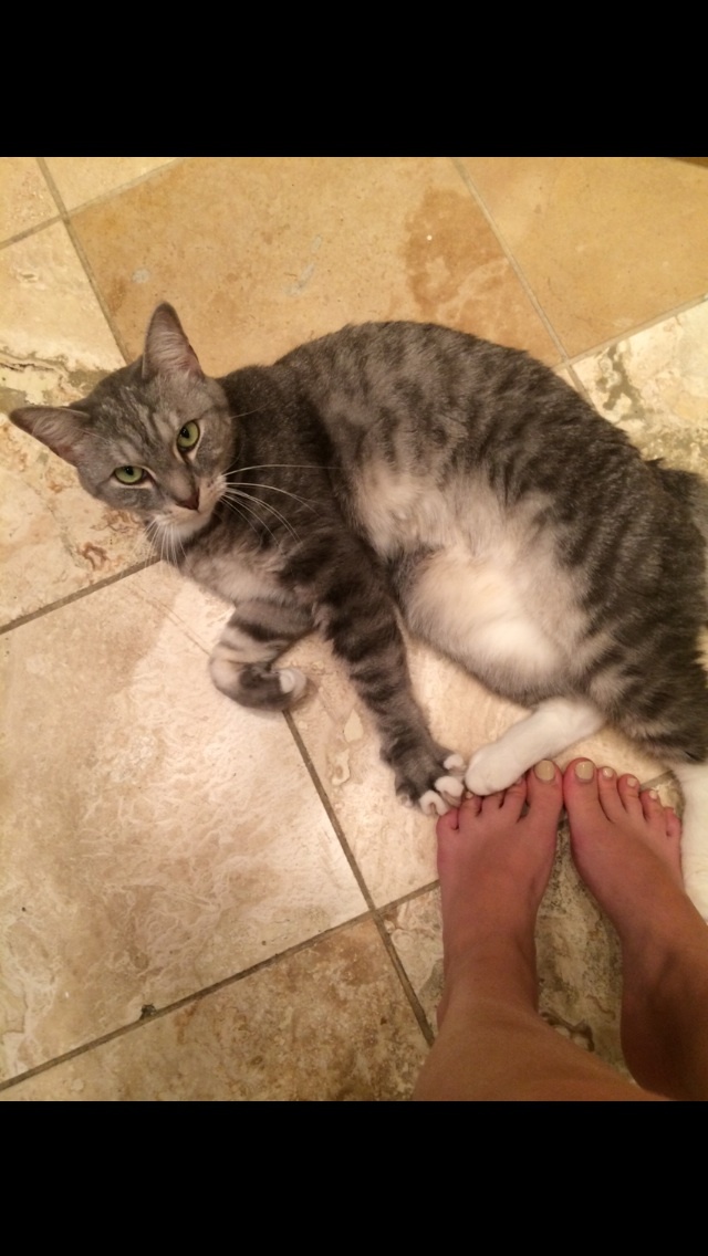 Katie Carmona - Celebrity photo