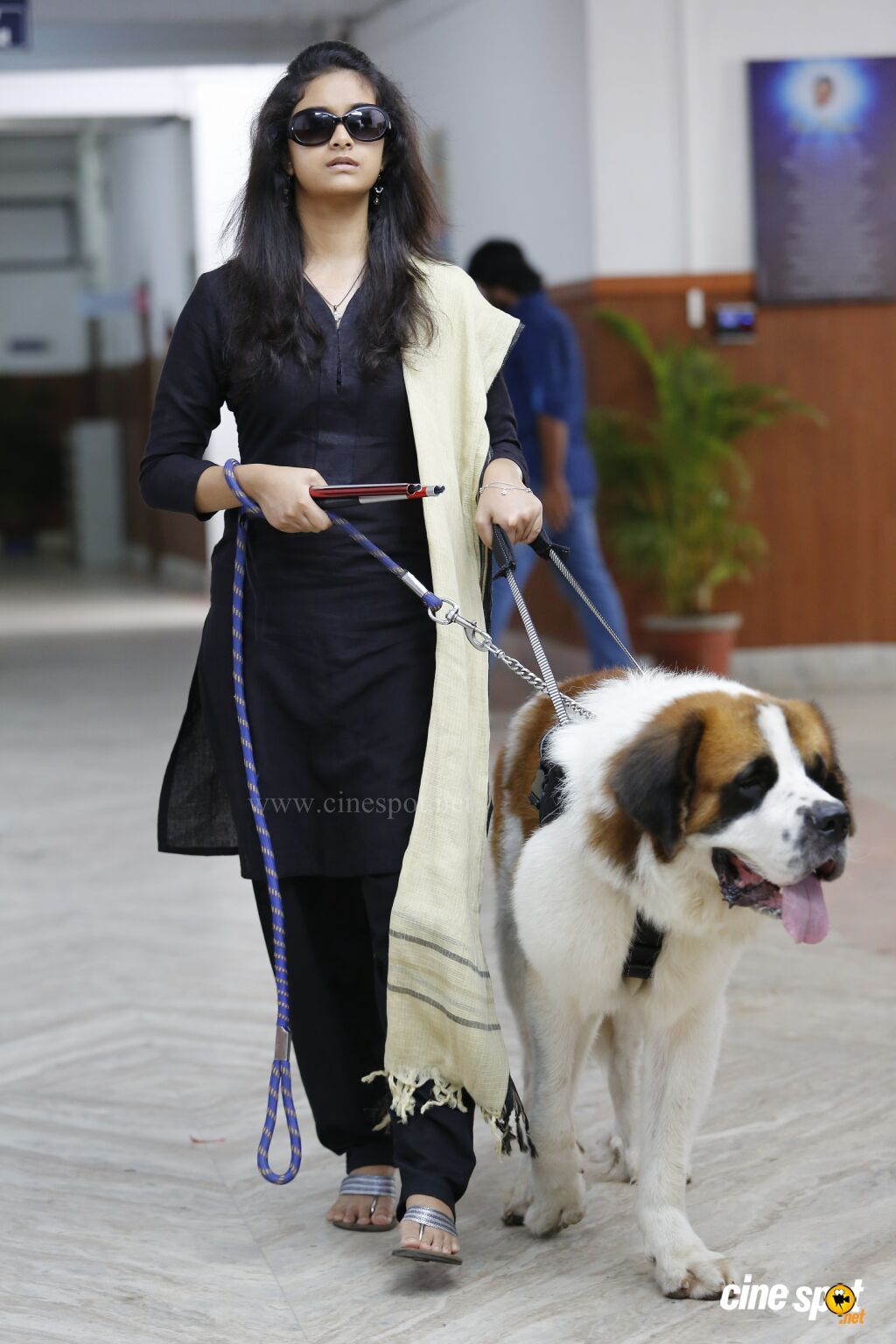 Ring Master Dog Ring Master Dog