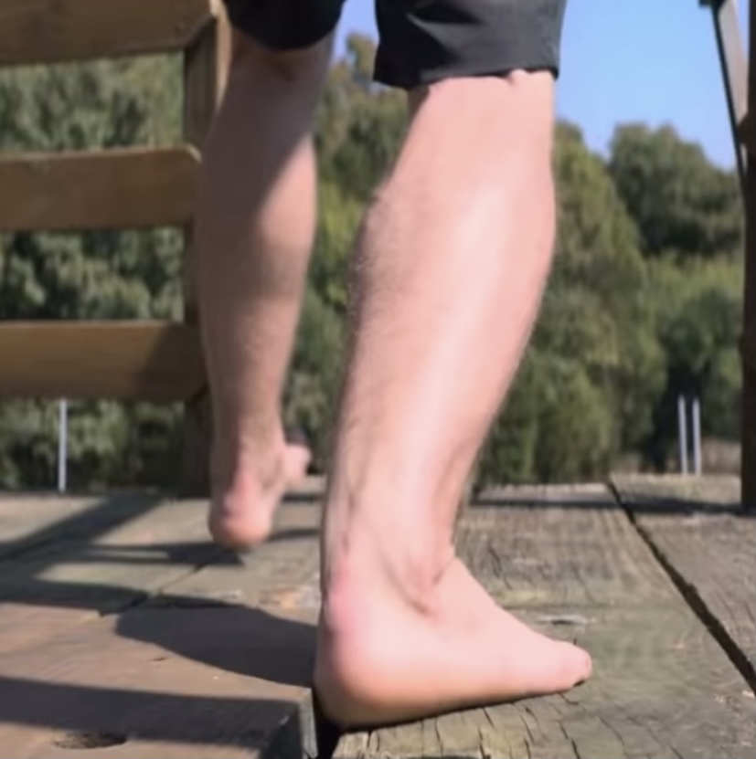 りいたしま】 ベア Women's For Bare Feet Kevin Harvick Color Fade No Show Ankle  Socks ユニセックス：サンガ スポーツ