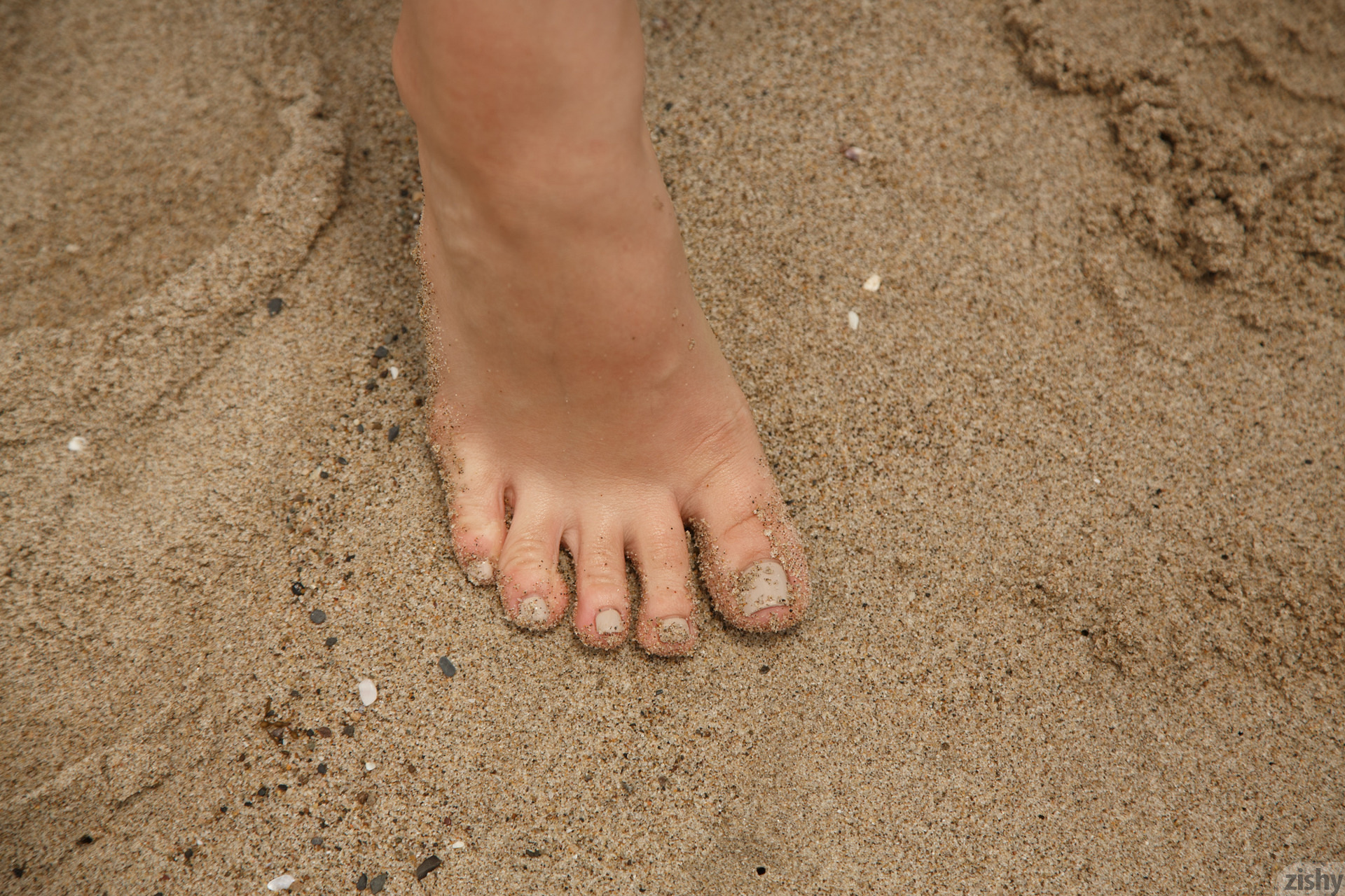 Lana Rhoades's Feet - I piedi di Lana Rhoades - Celebrities Feet - Hot 2023