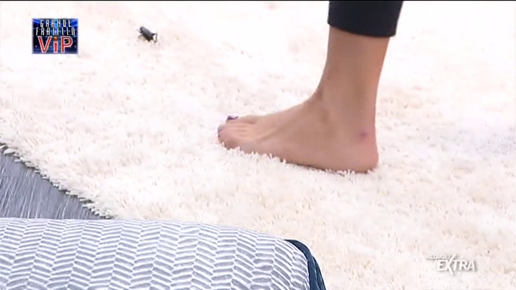 Laura Freddi feet photo 191754960 Laura Freddi feet photo 191754960 - High quality celebrity feet picture