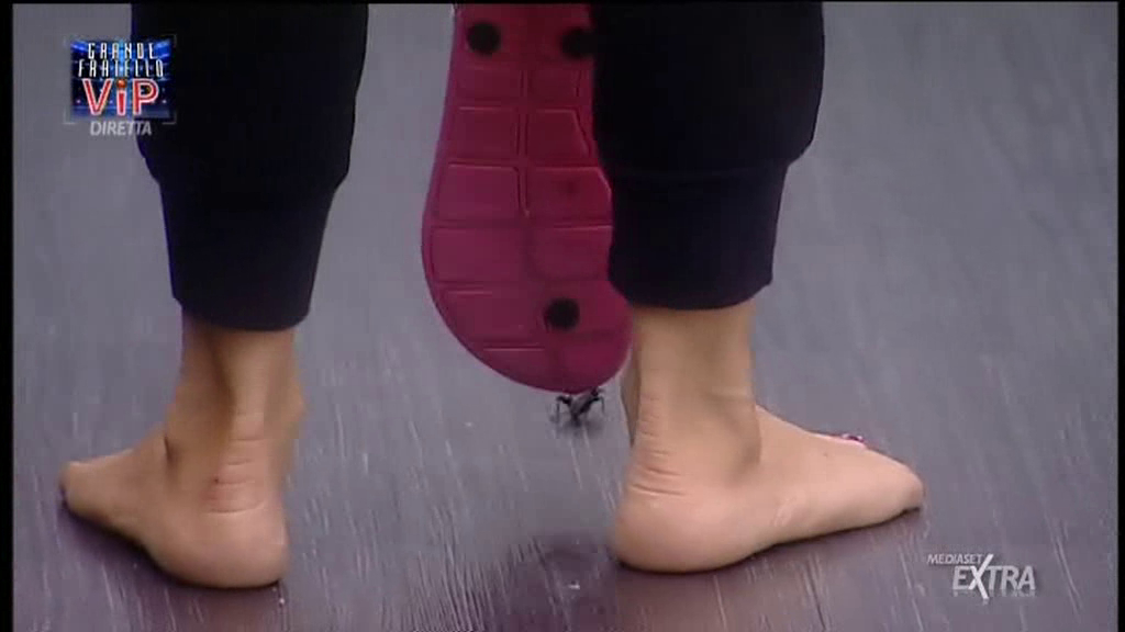 Laura Freddi feet photo 191754962 Laura Freddi feet photo 191754962 - High quality celebrity feet picture