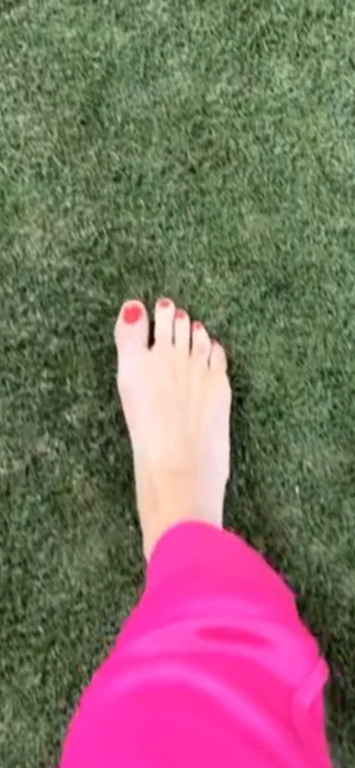 Lauren Gardner's Feet << wikiFeet