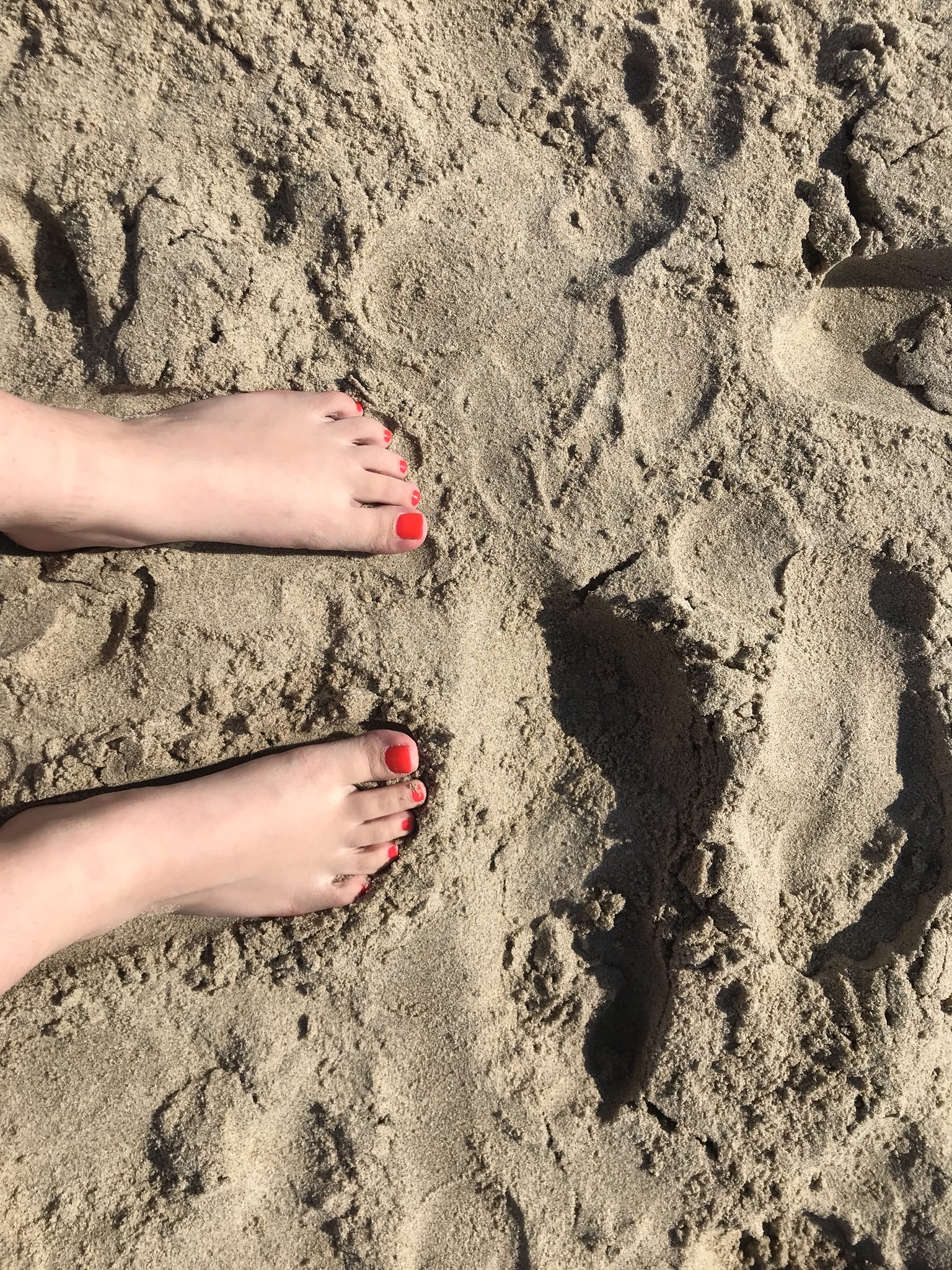 Lenna Lux's feet