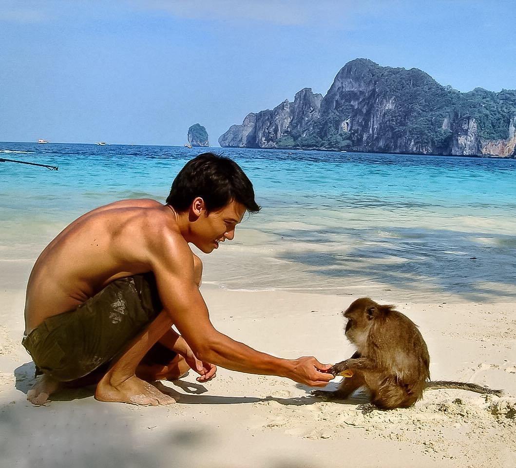 Браки мужчин обезьян. Обезьяний остров Тайланд. Манки Бич Тайланд. Паттайя остров обезьян. Остров обезьян Хайнань.