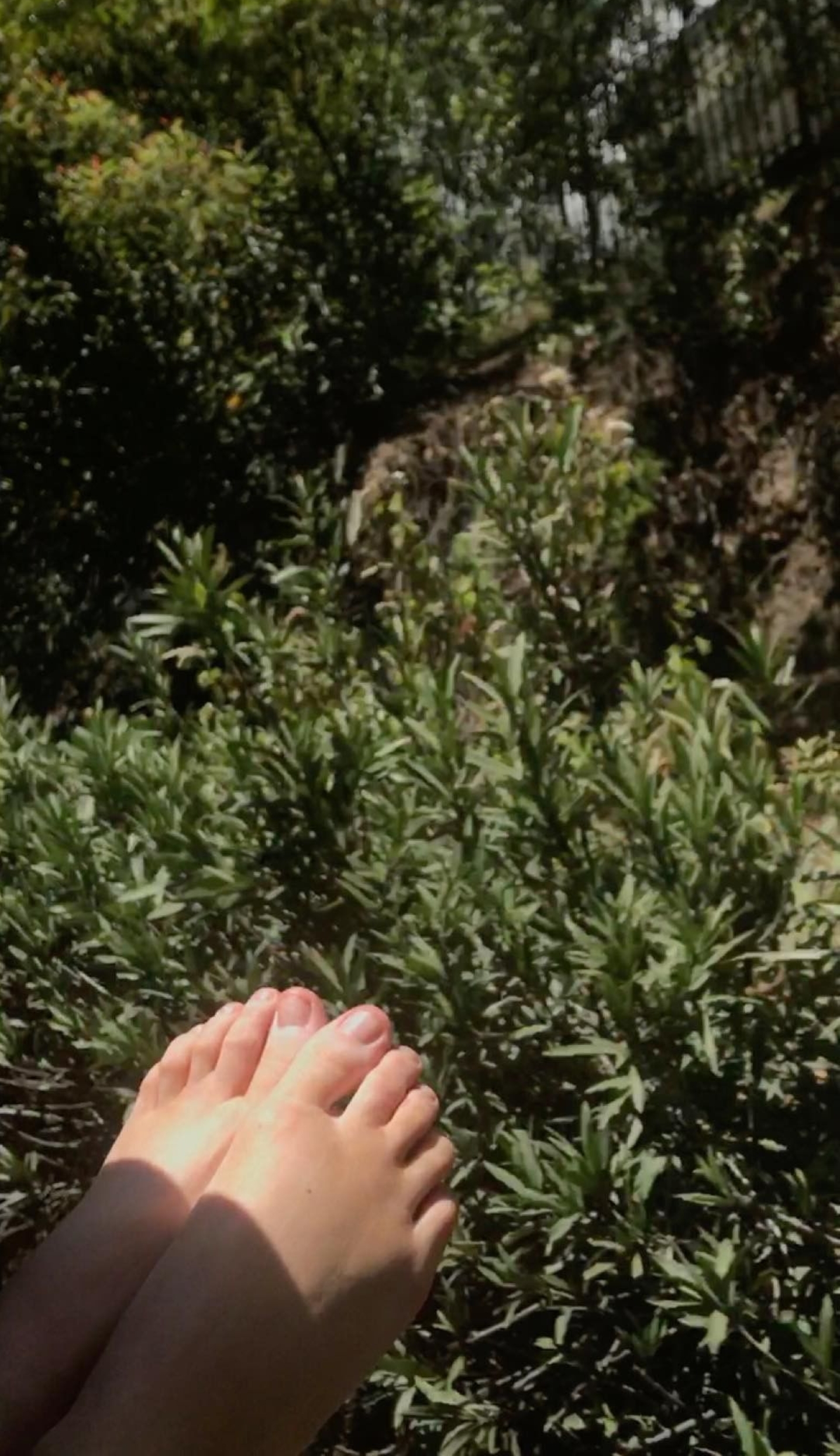 Lily Rose Depps Feet 