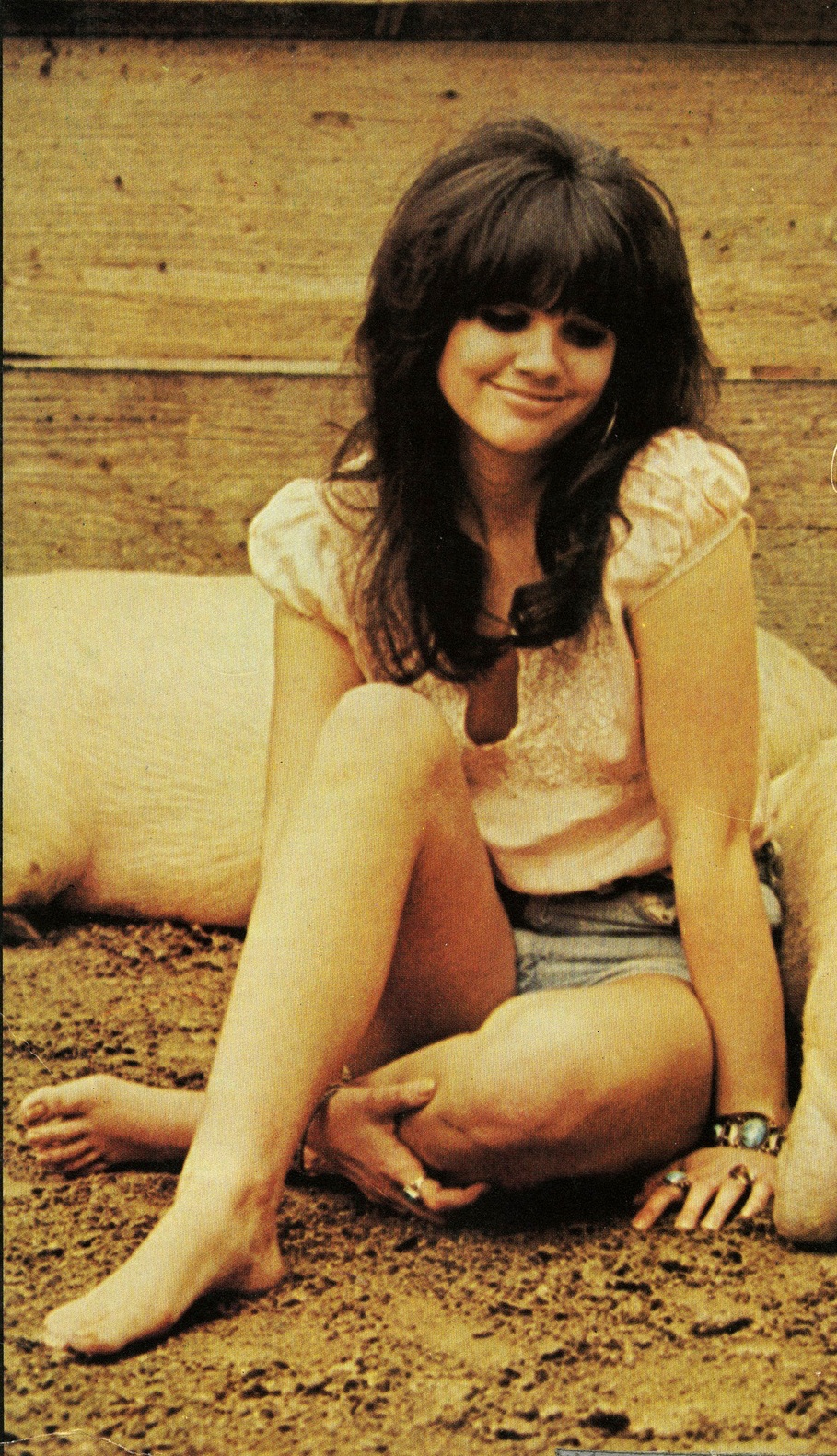 People who liked Linda Ronstadt's feet, also liked.
