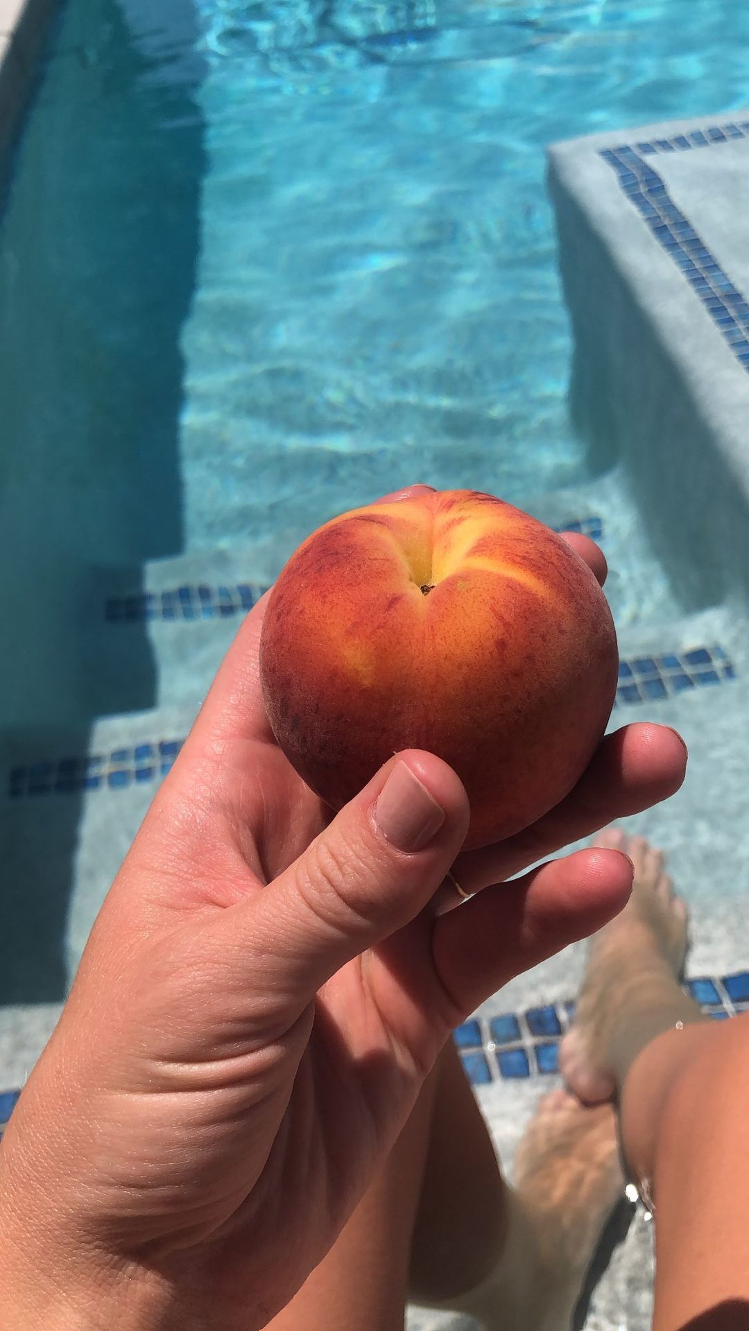 Lindsley Register feet photo 287235400 - High quality celebrity feet picture