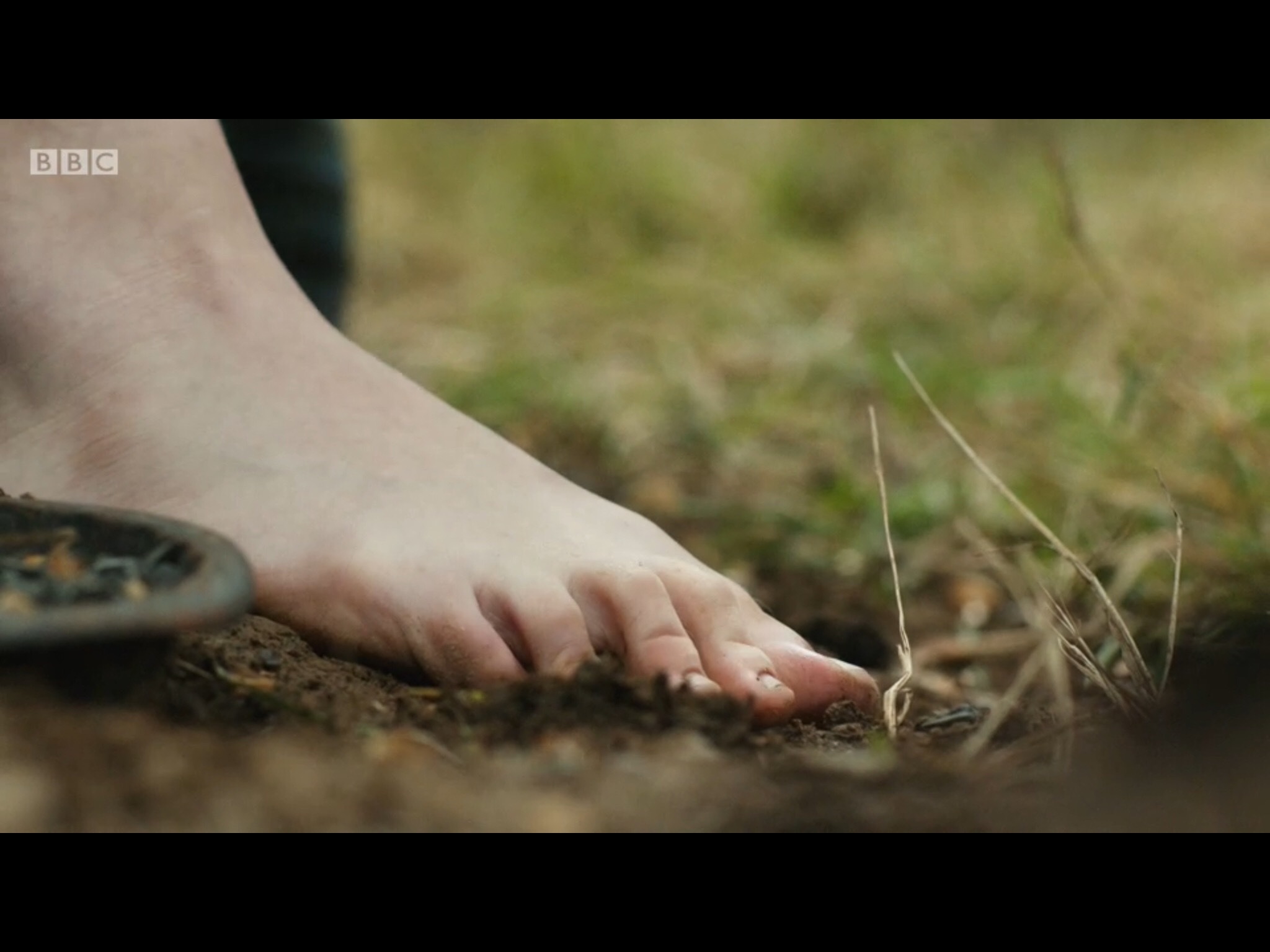 Maya Hawke's Feet I piedi di Maya Hawke Celebrities Feet 2023