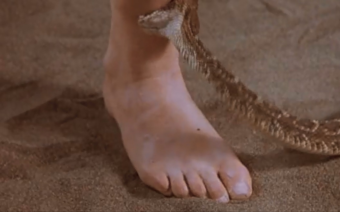 People who liked Megan Leitch's feet, also liked.