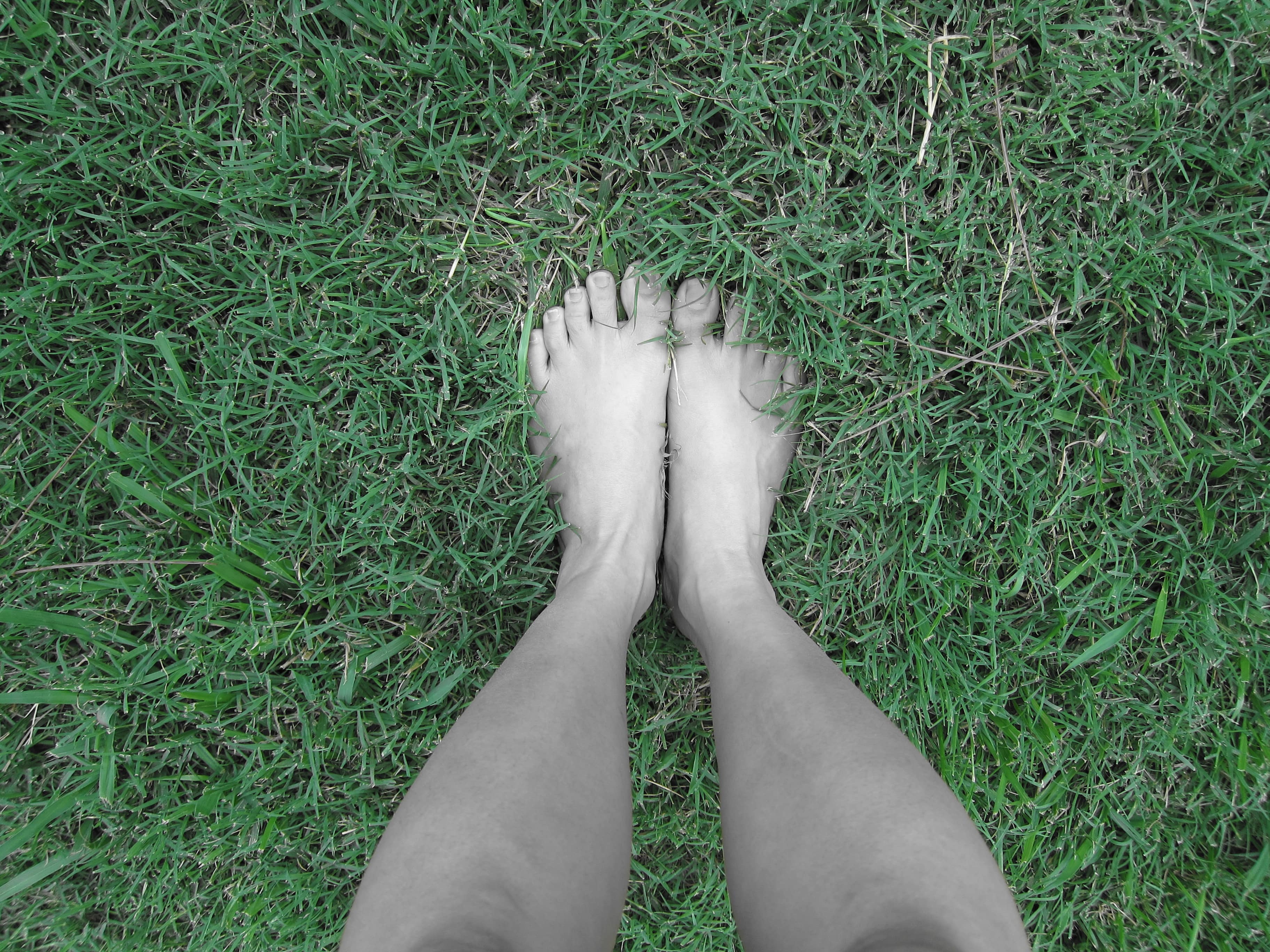 Michelle krusiec feet