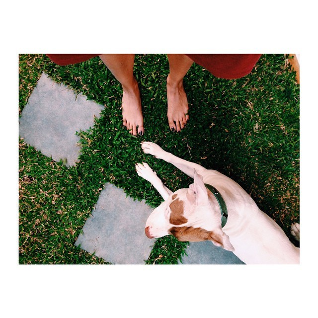 Nadine Alexandra feet photo 192485330 Nadine Alexandra feet photo 192485330 - High quality celebrity feet picture