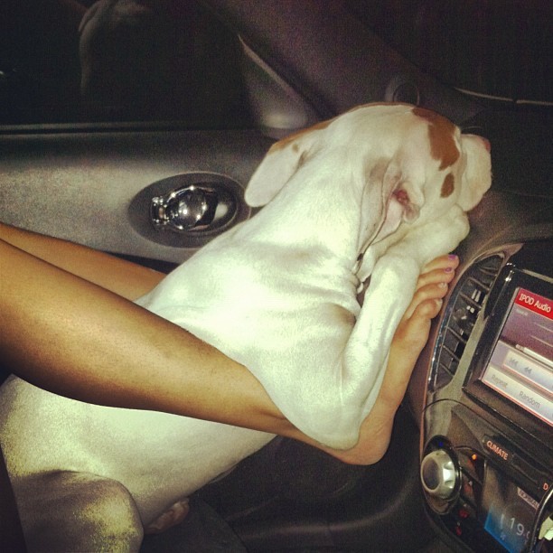 Nadine Alexandra feet photo 192485337 Nadine Alexandra feet photo 192485337 - High quality celebrity feet picture