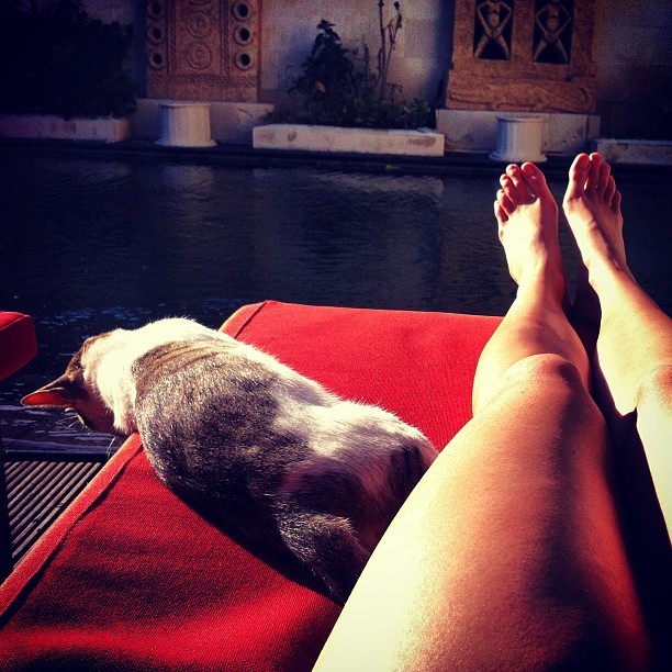 Nadine Alexandra feet photo 192485338 Nadine Alexandra feet photo 192485338 - High quality celebrity feet picture