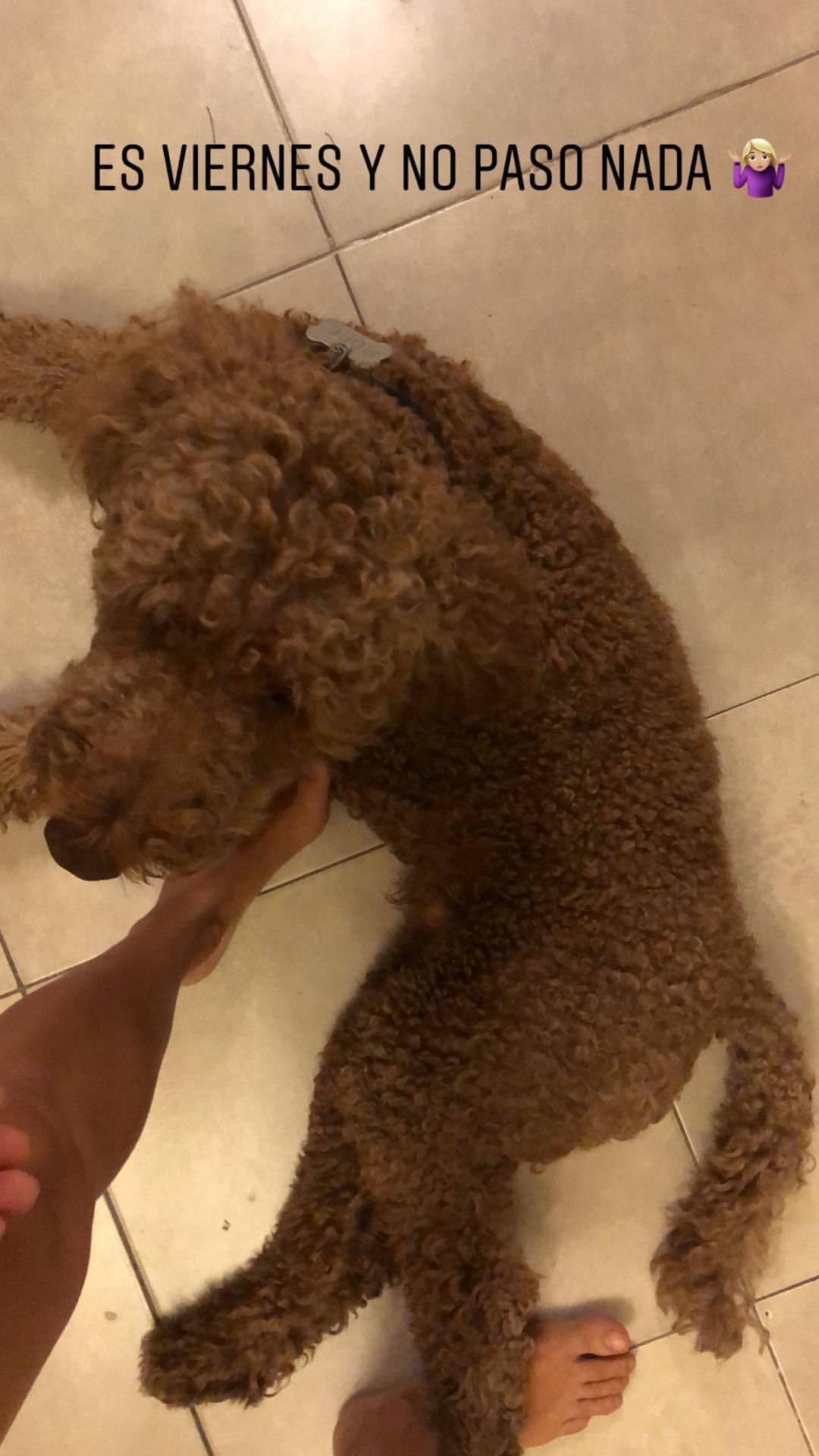 Natalie Pérez feet photo 192542089 Natalie Pérez feet photo 192542089 - High quality celebrity feet picture