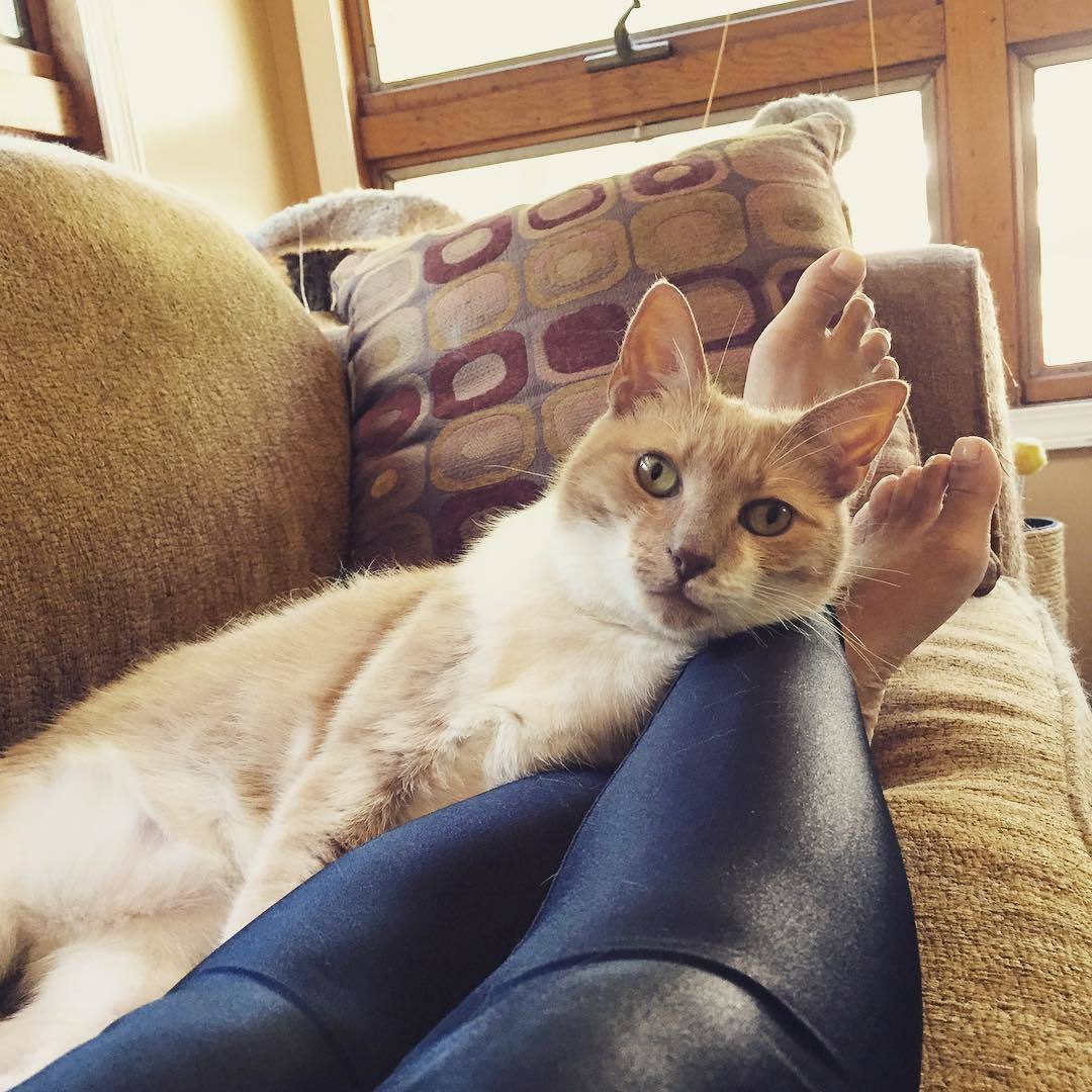 Feet of Phyllicia Bonanno