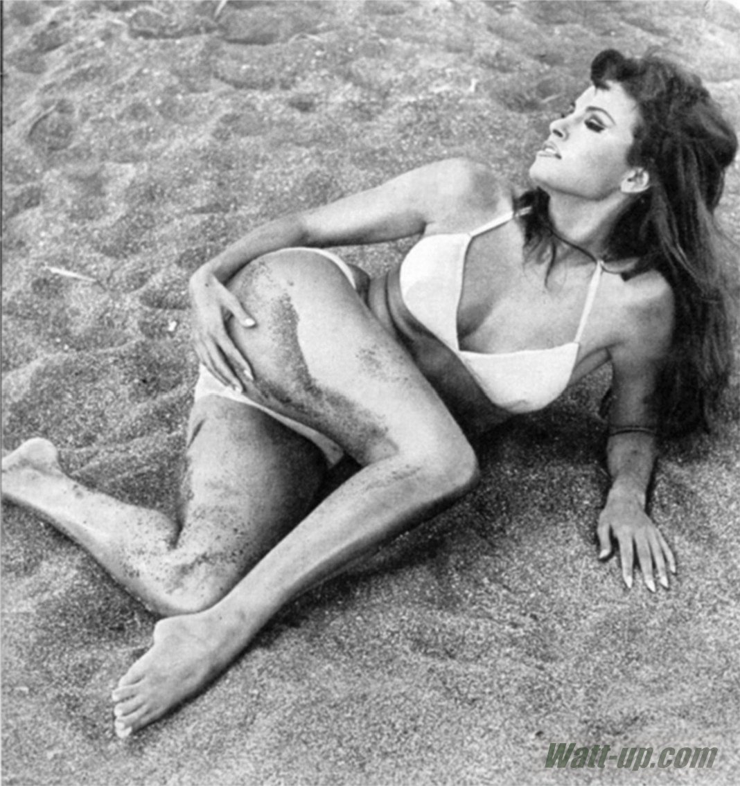 Raquel welch nips